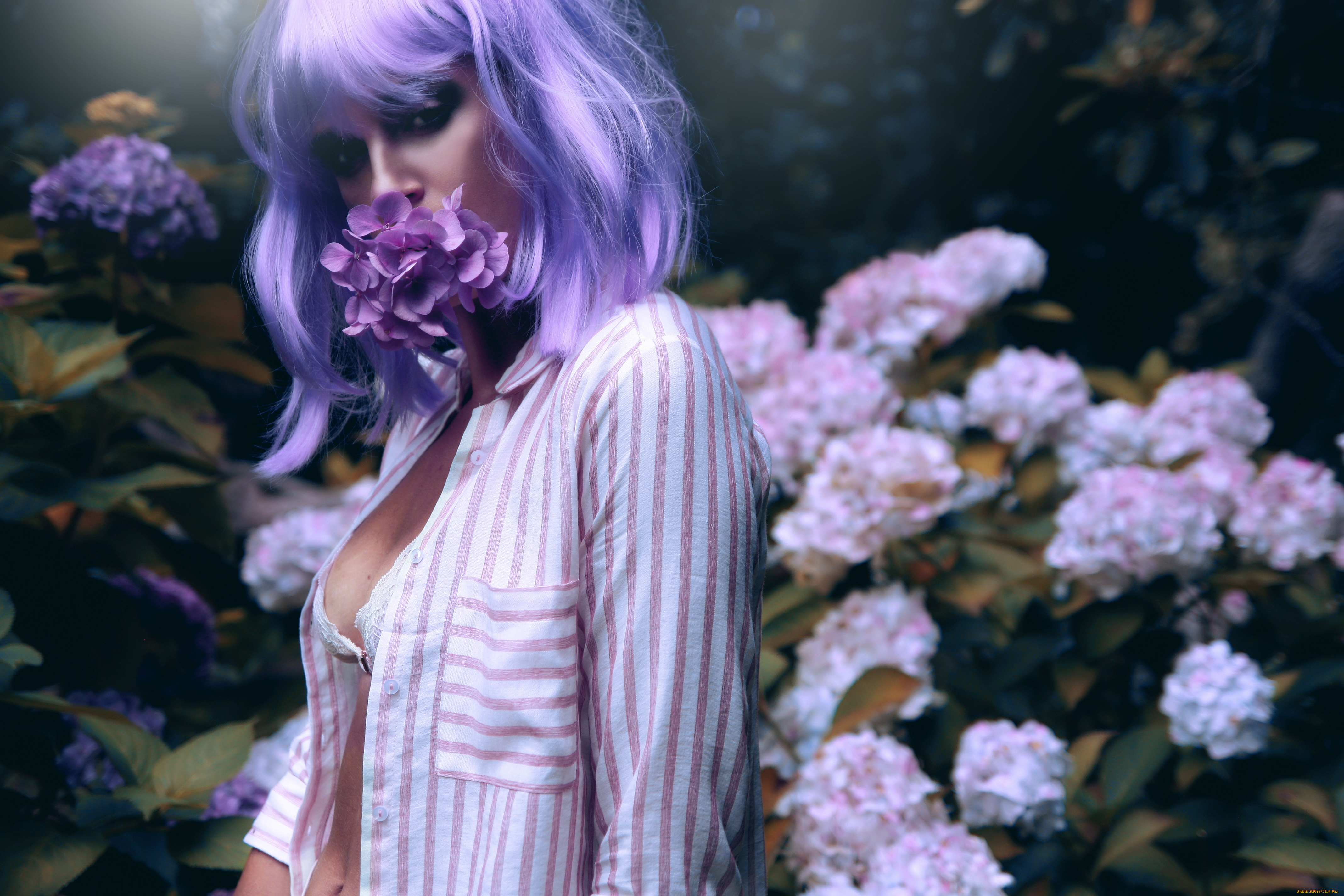 девушки, -unsort, , рыжеволосые, и, другие, фон, поза, девушка