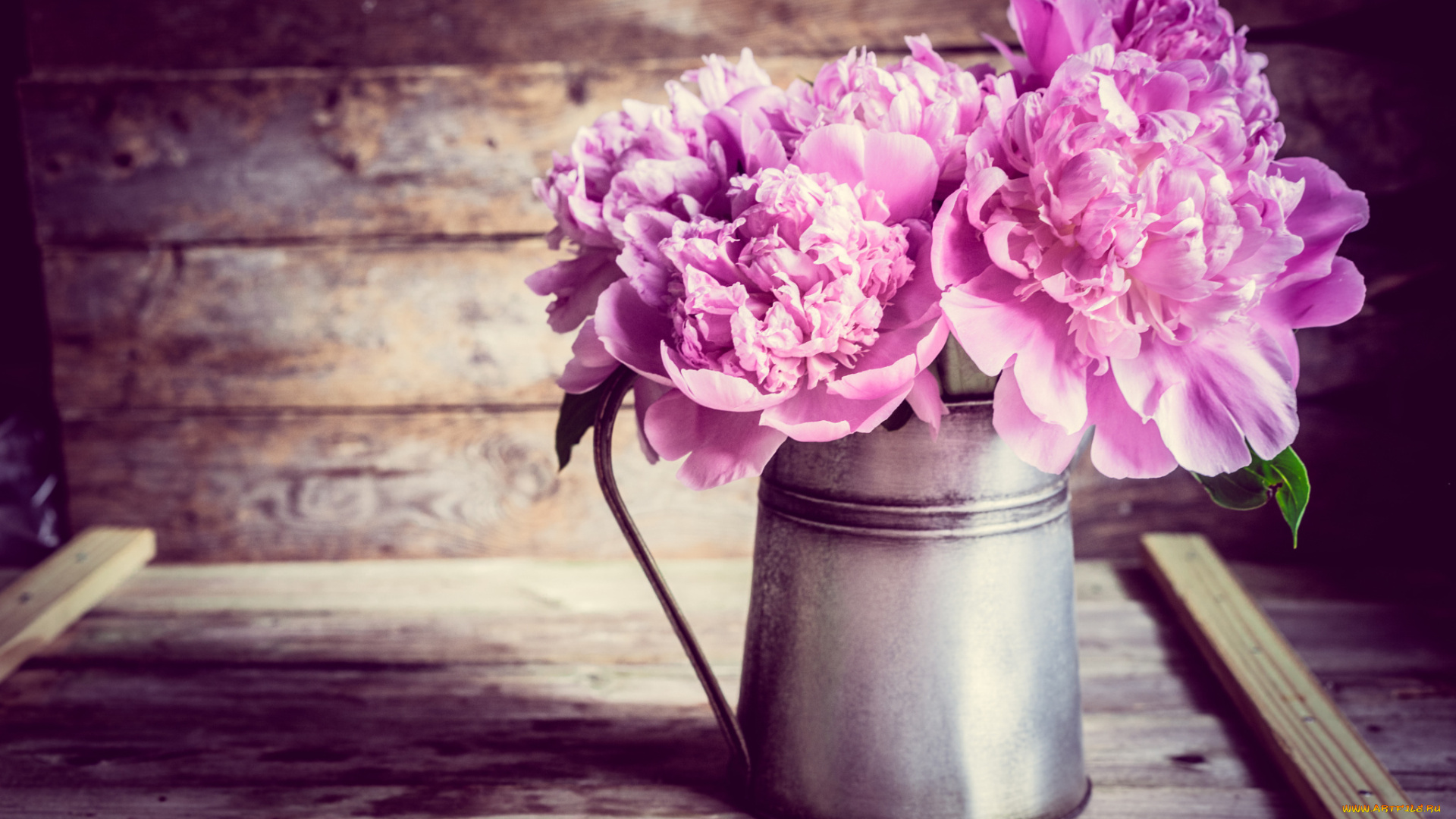 цветы, пионы, доски, кувшин, букет