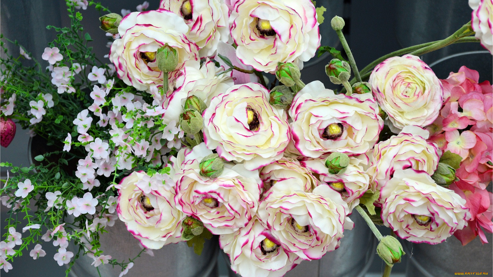 цветы, разные, вместе, ранункулюс