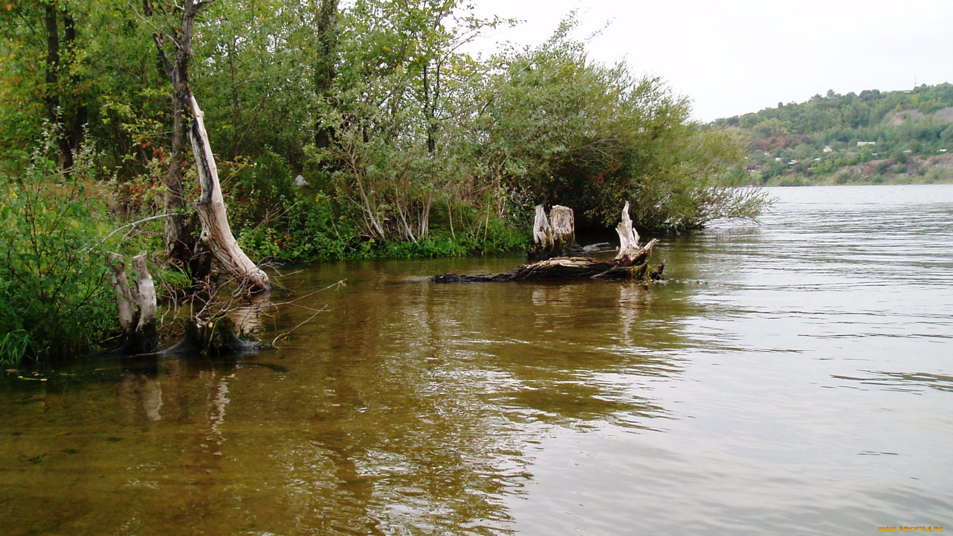 красивый, уголок, природа, реки, озера, водоем, летом