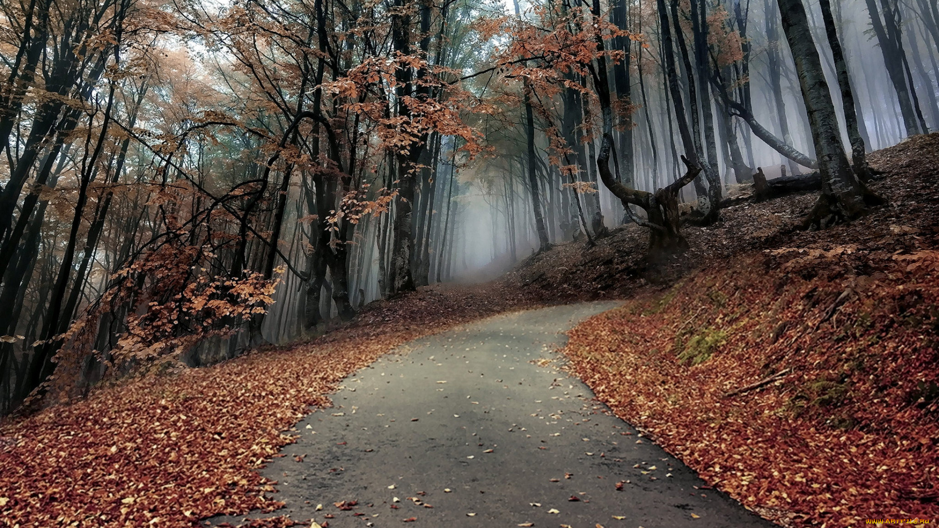 природа, дороги, простор