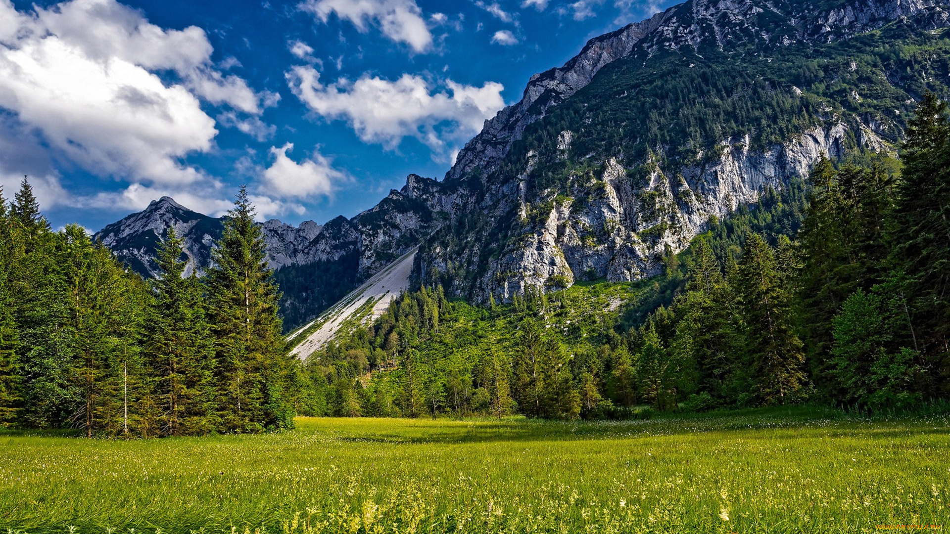 природа, горы, простор