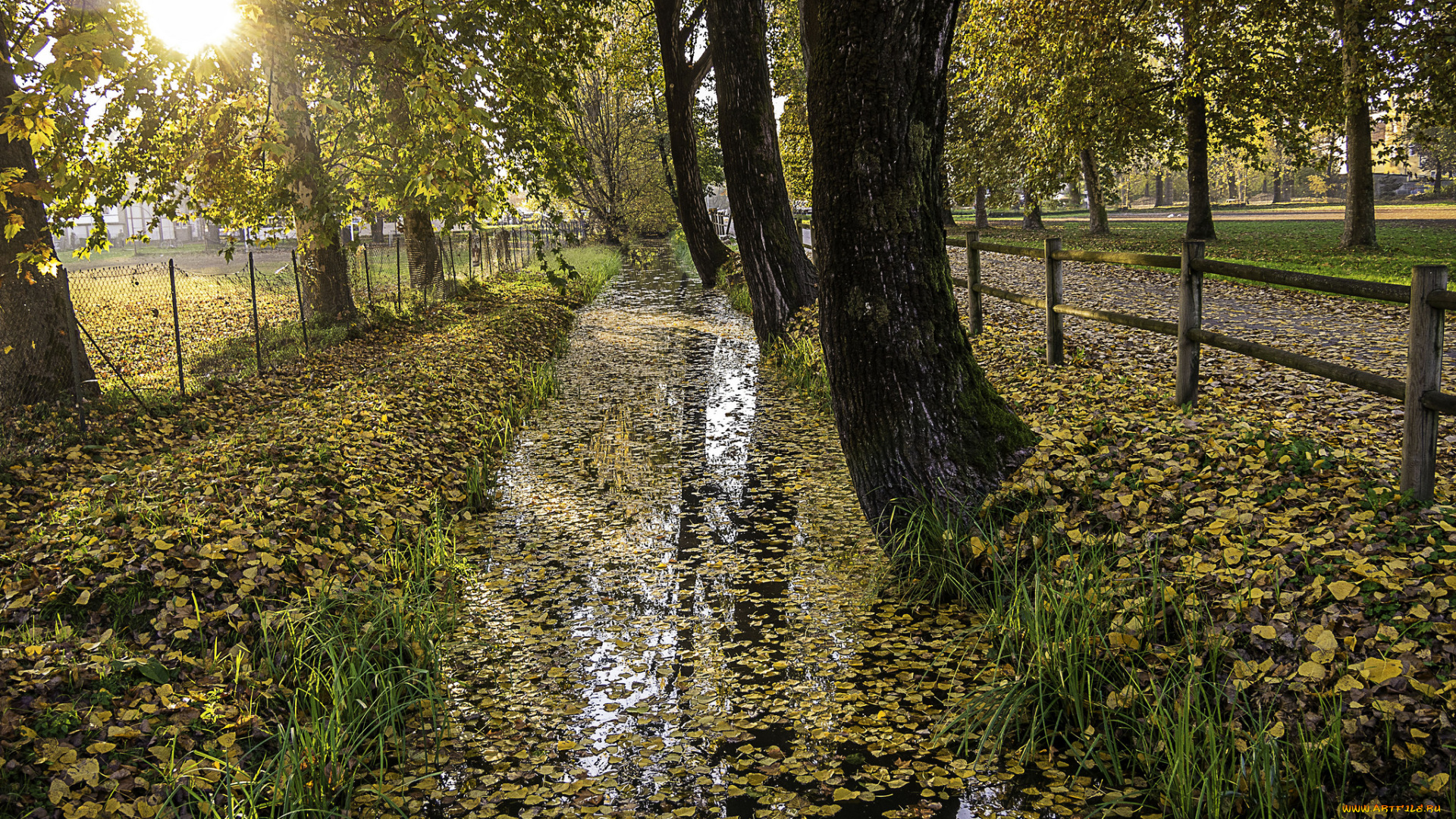 природа, пейзажи, простор