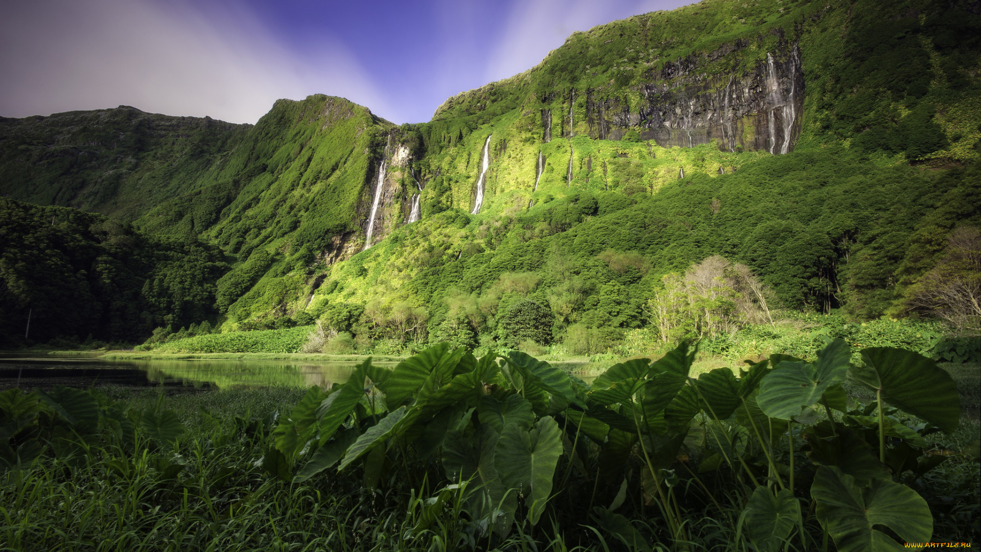 природа, пейзажи, простор