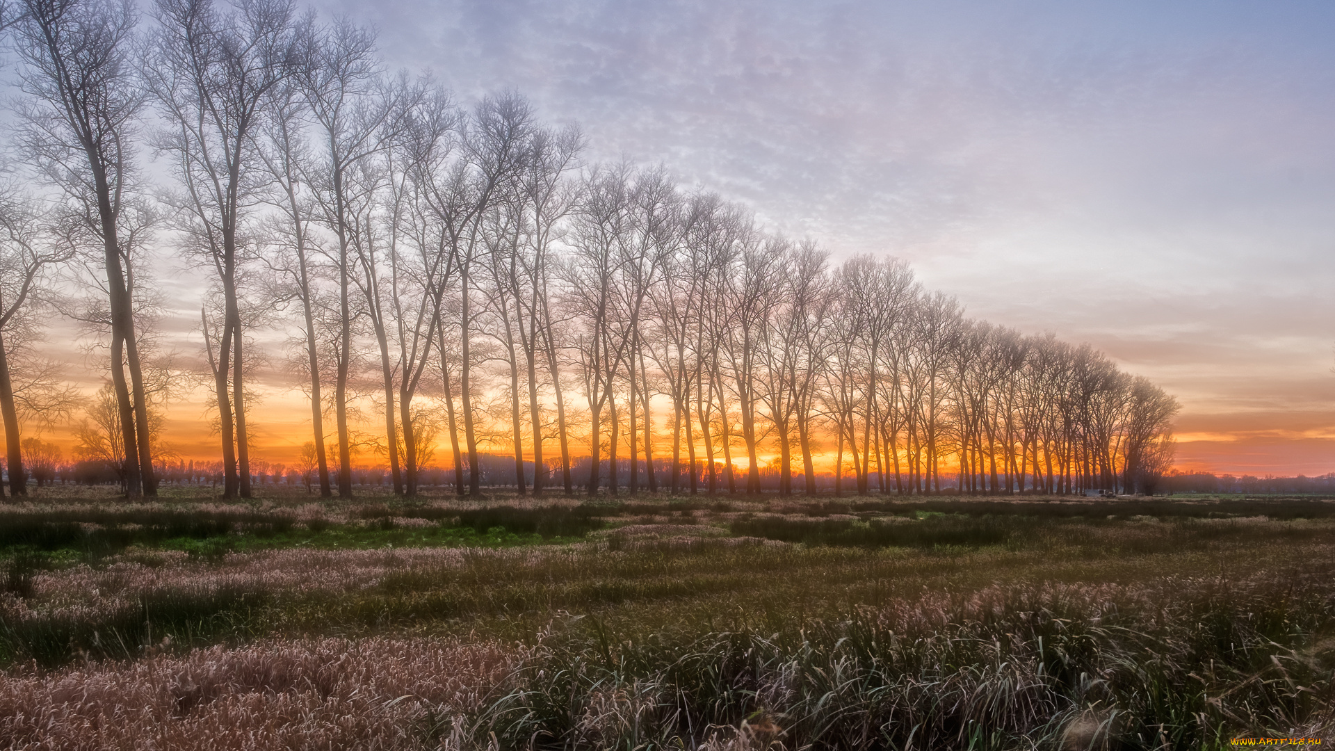 природа, пейзажи, простор