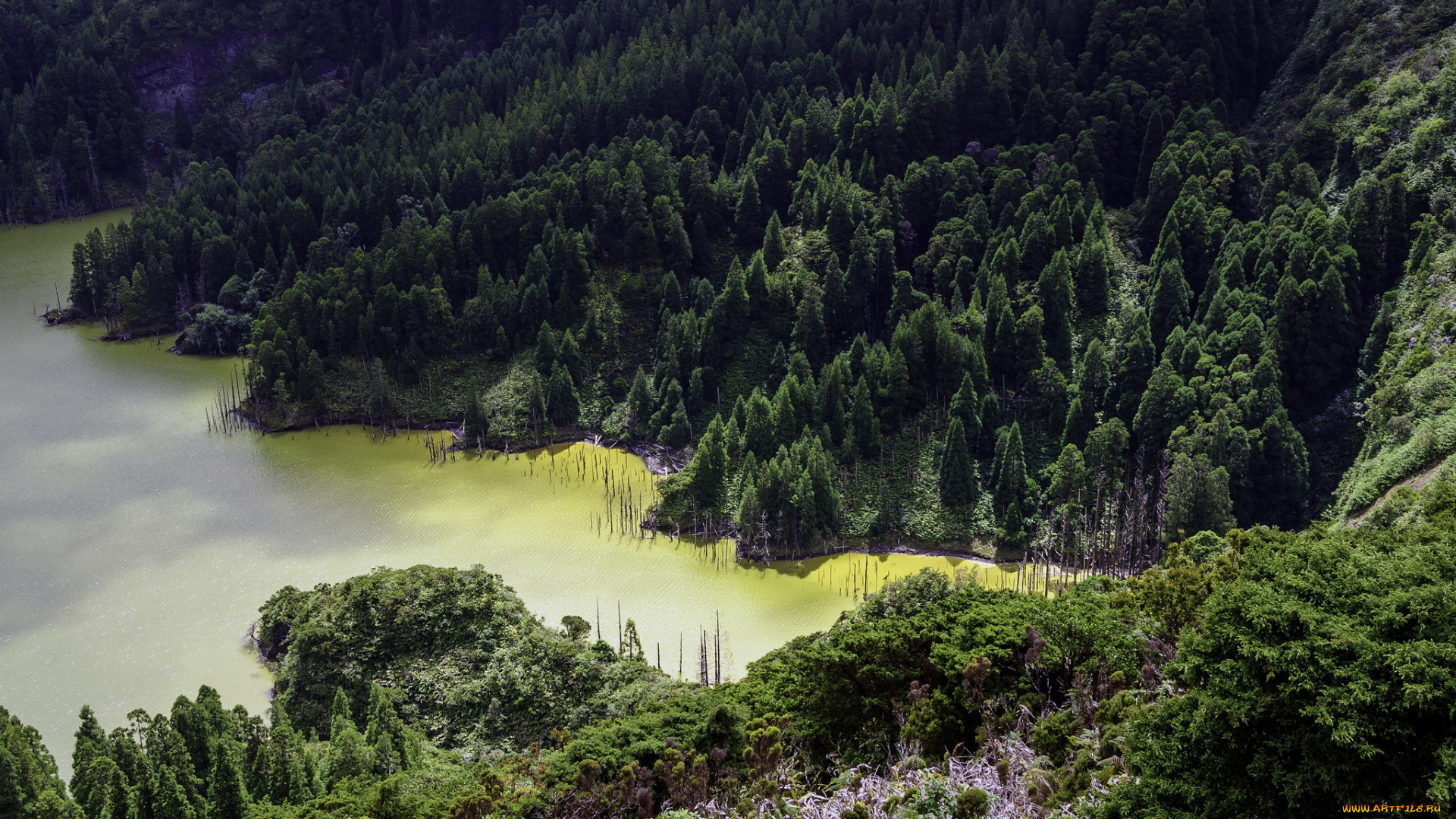 природа, побережье, простор