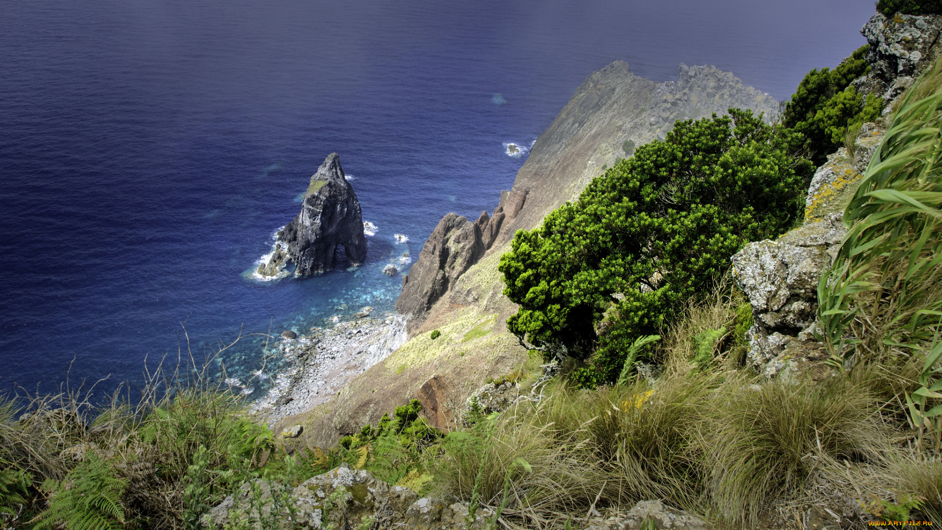 природа, побережье, простор