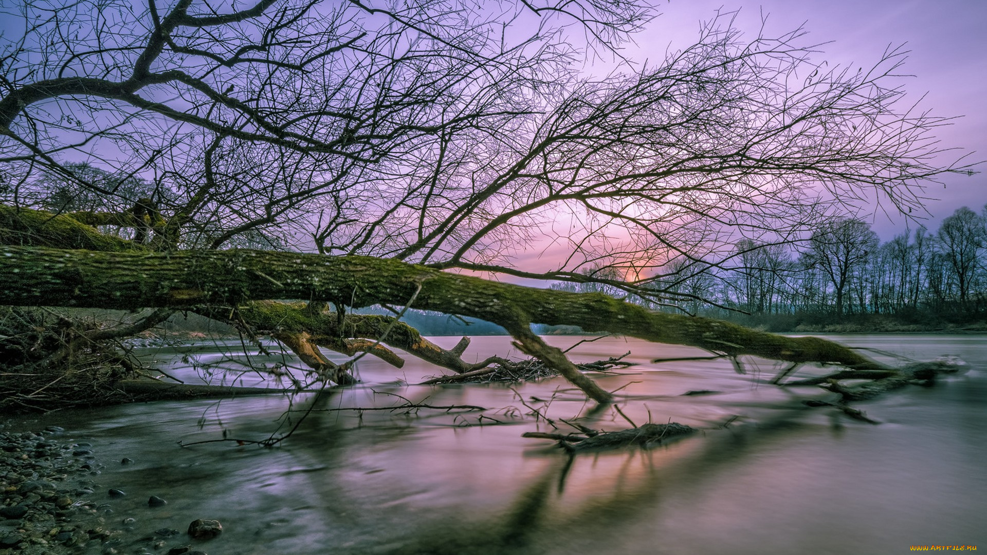 природа, реки, озера, простор