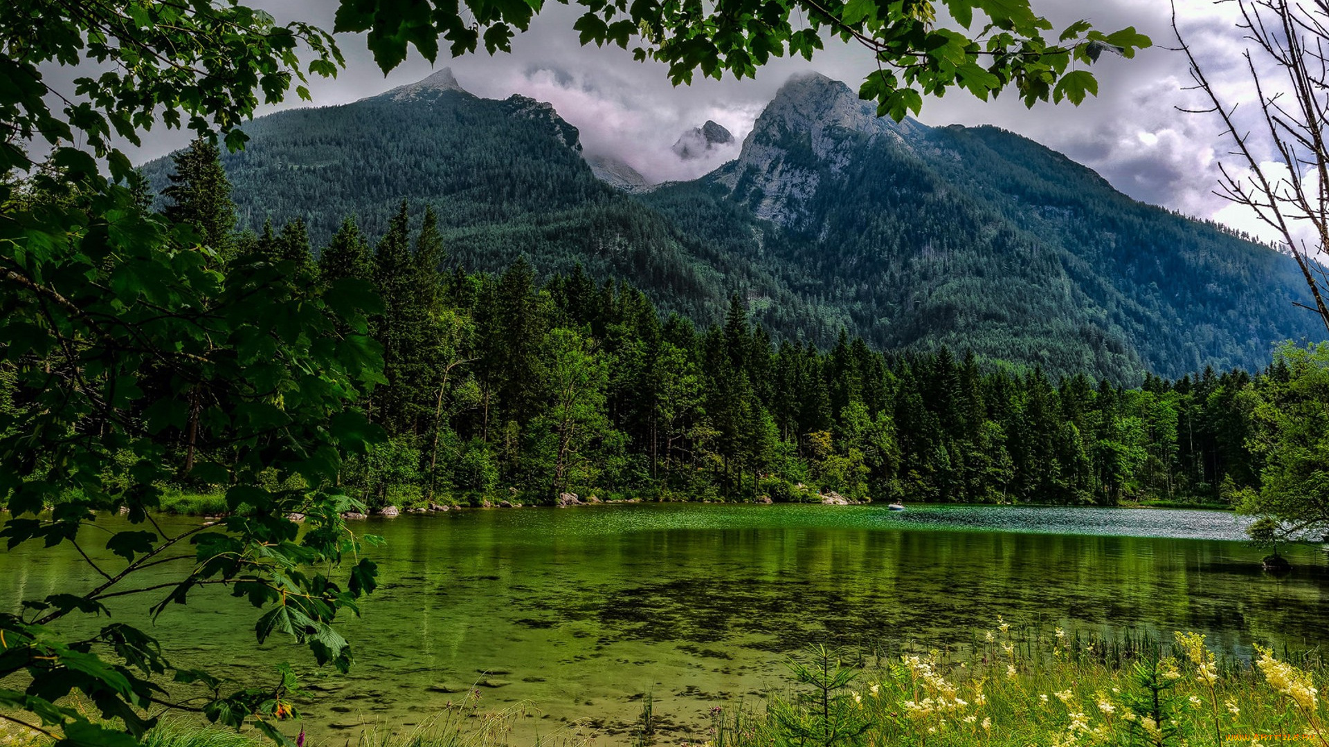 природа, реки, озера, простор