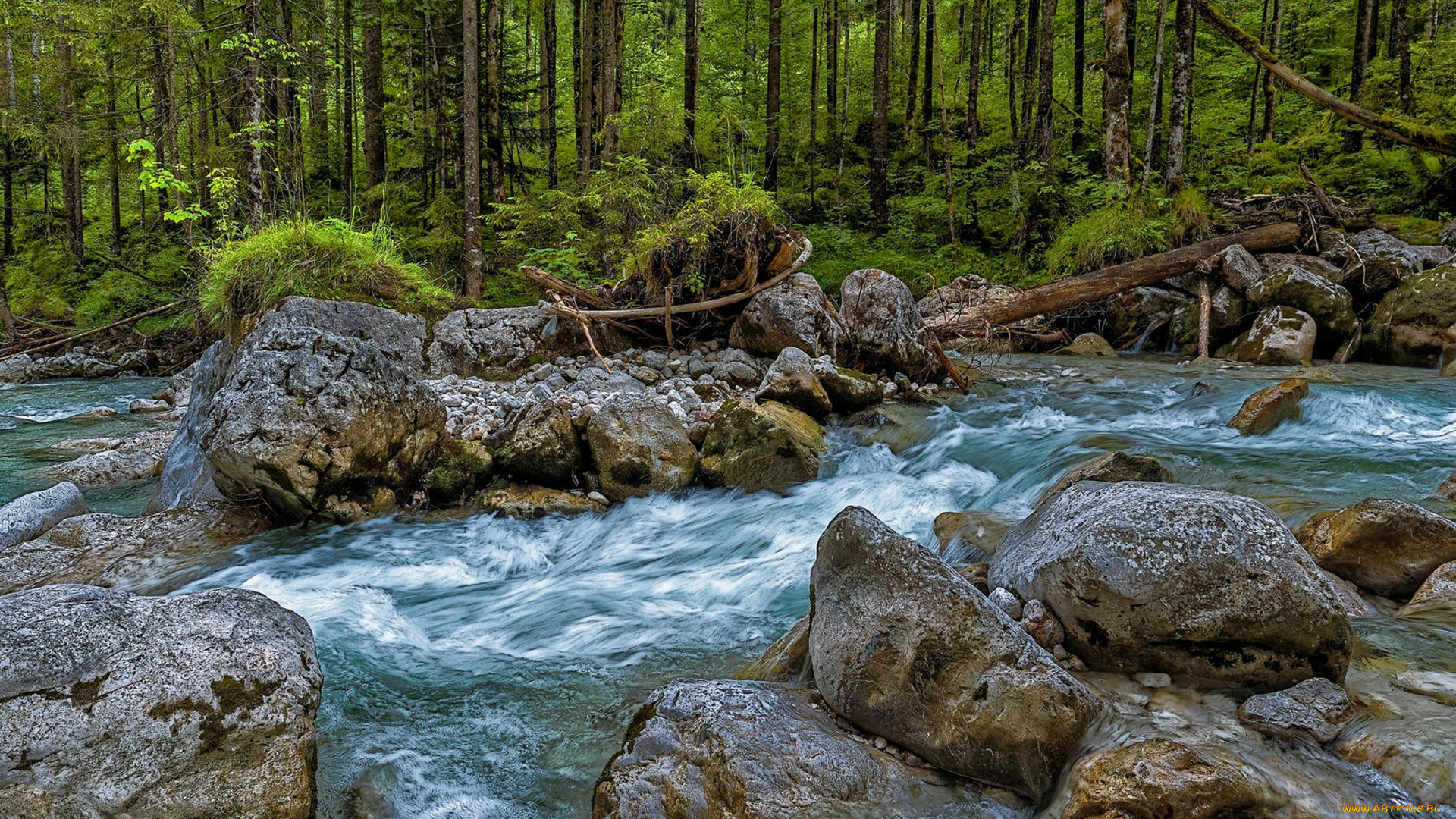 природа, реки, озера, простор