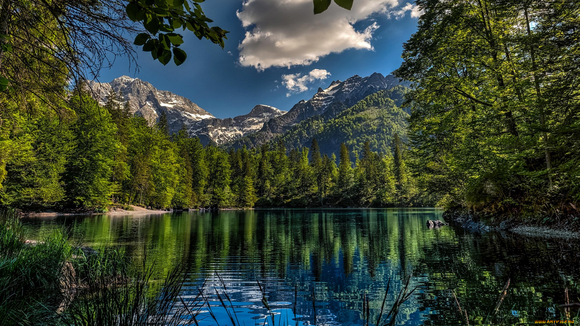 природа, реки, озера, простор