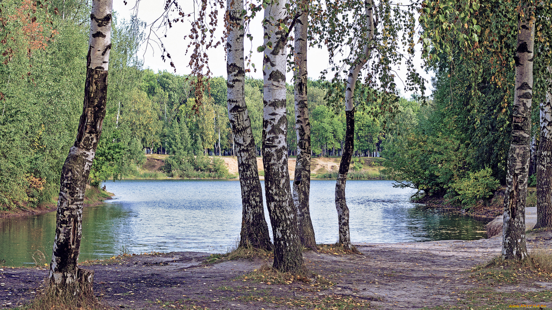 природа, реки, озера, простор