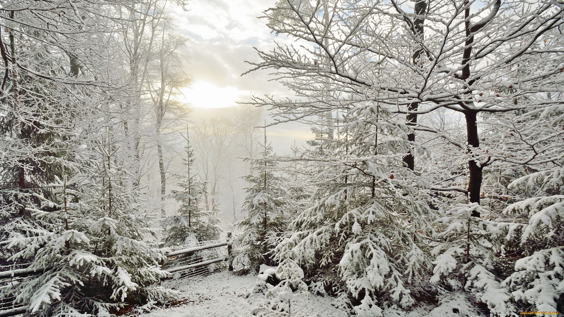 природа, зима, простор