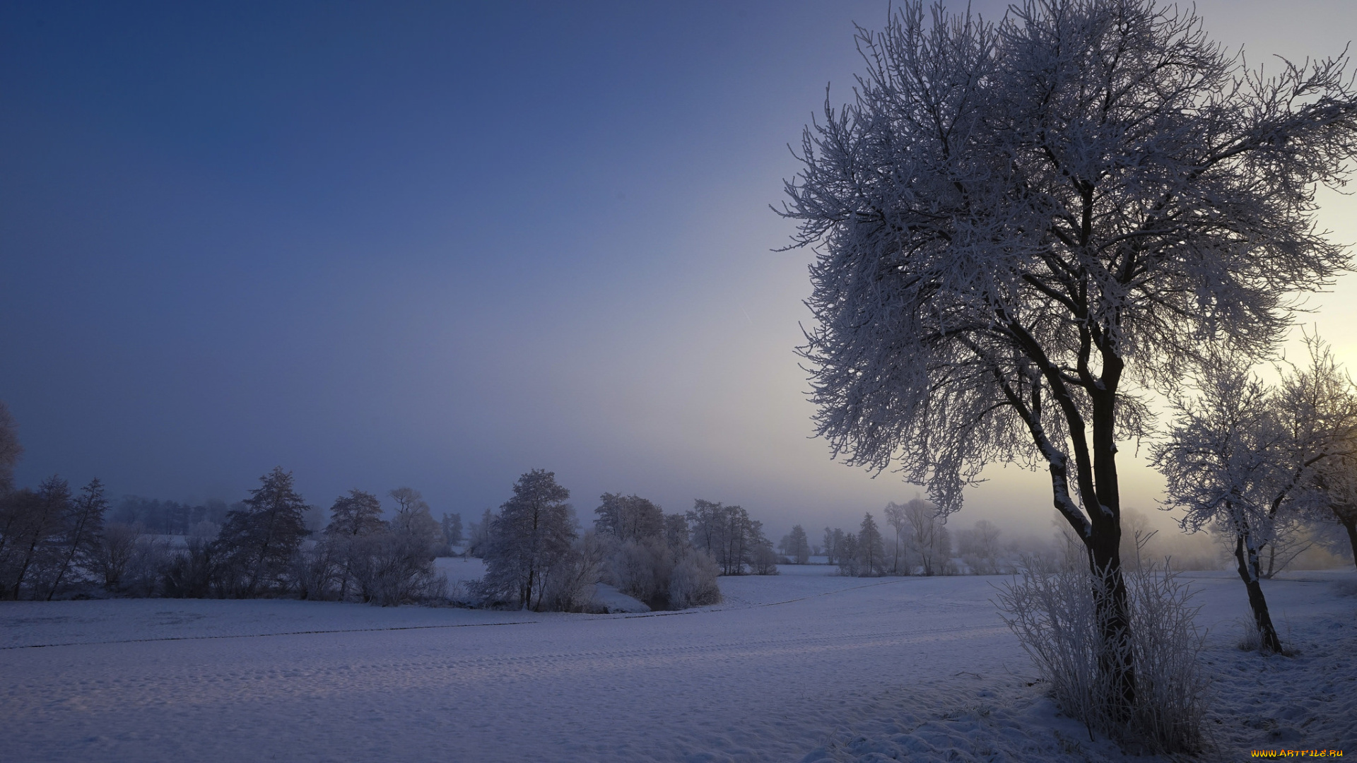 природа, зима, простор