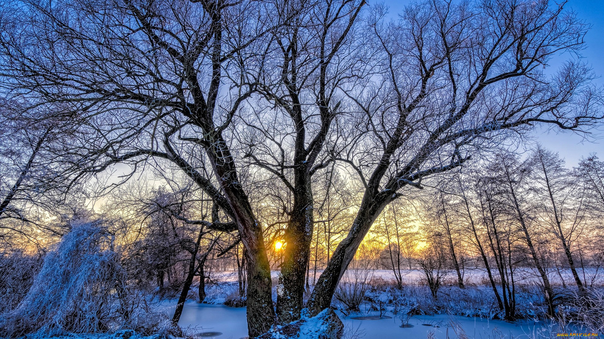 природа, зима, простор