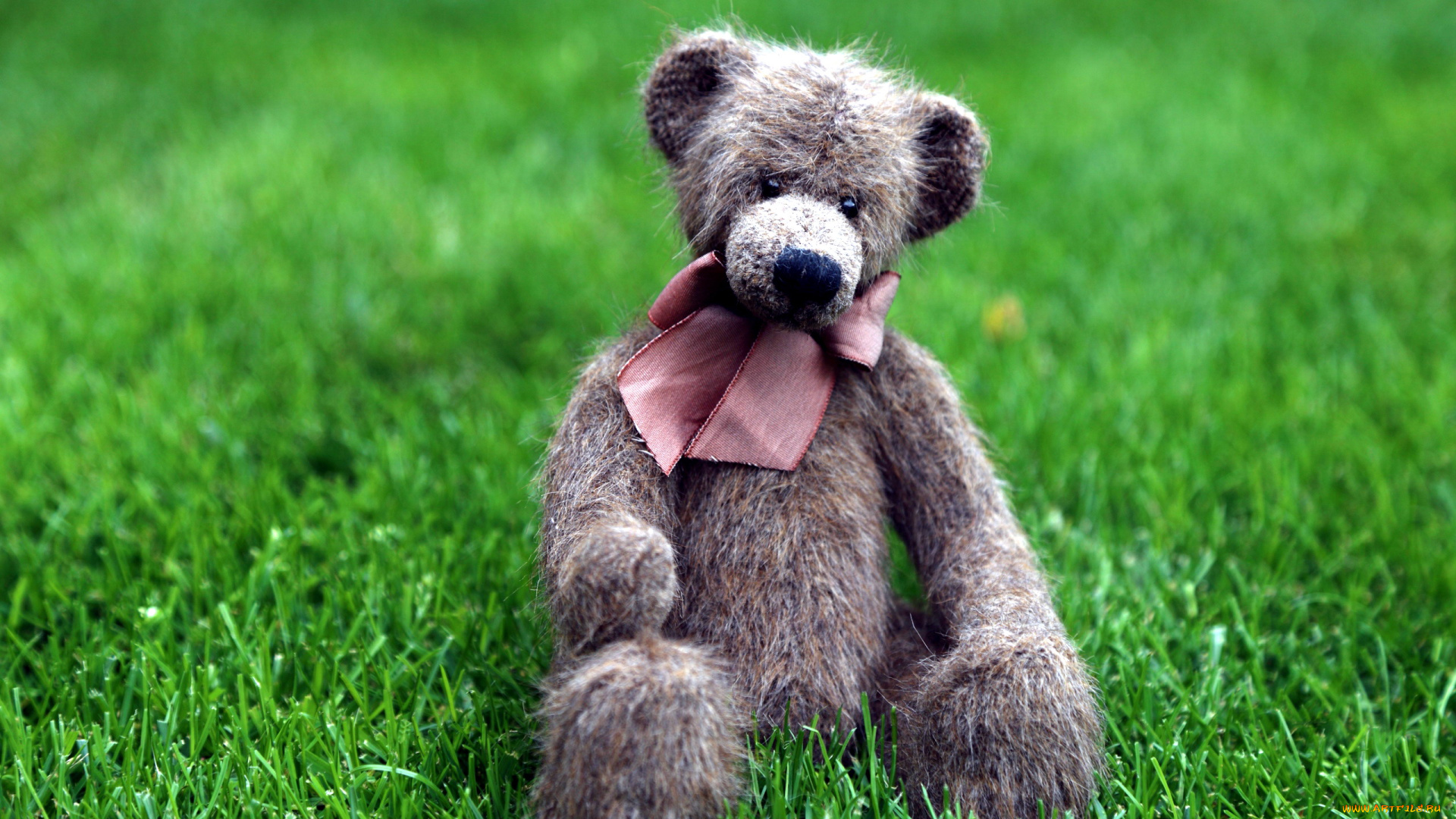 разное, игрушки, медвежонок