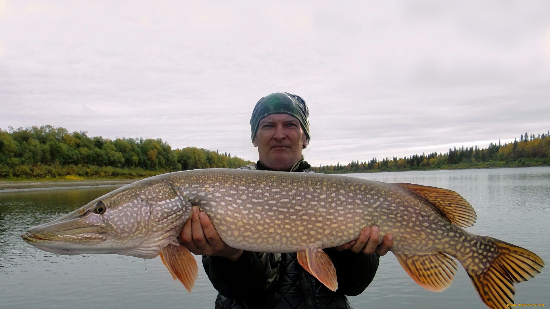 разное, рыбалка, , рыбаки, , улов, , снасти, улов, спорт