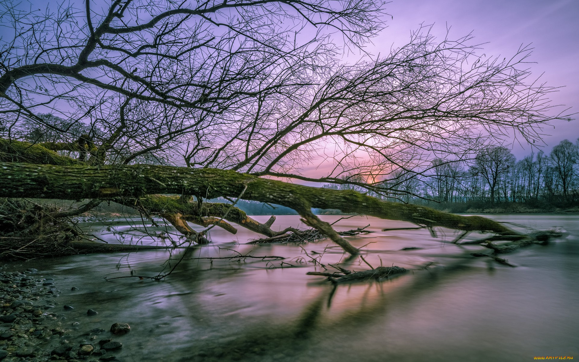 природа, реки, озера, простор