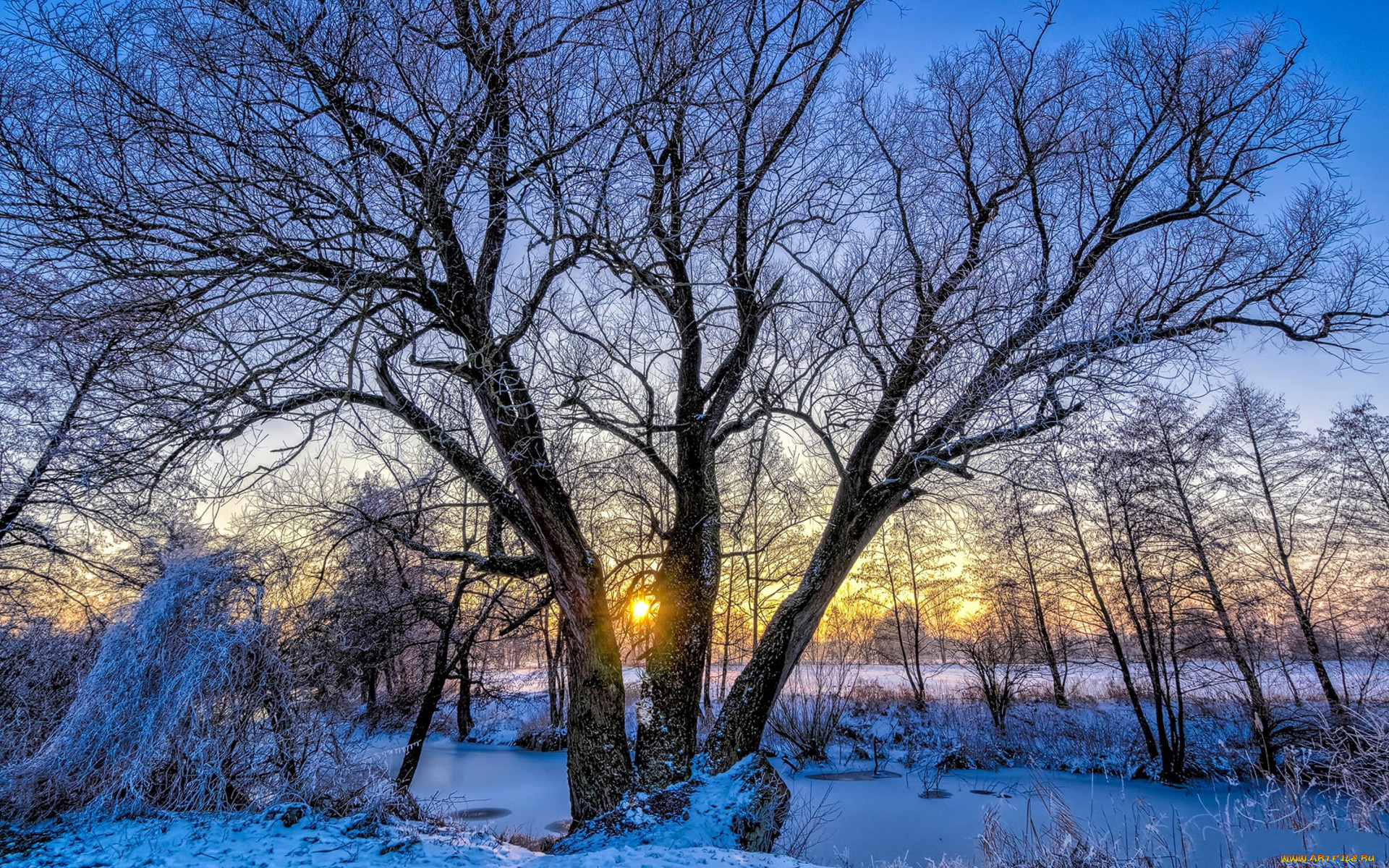 природа, зима, простор