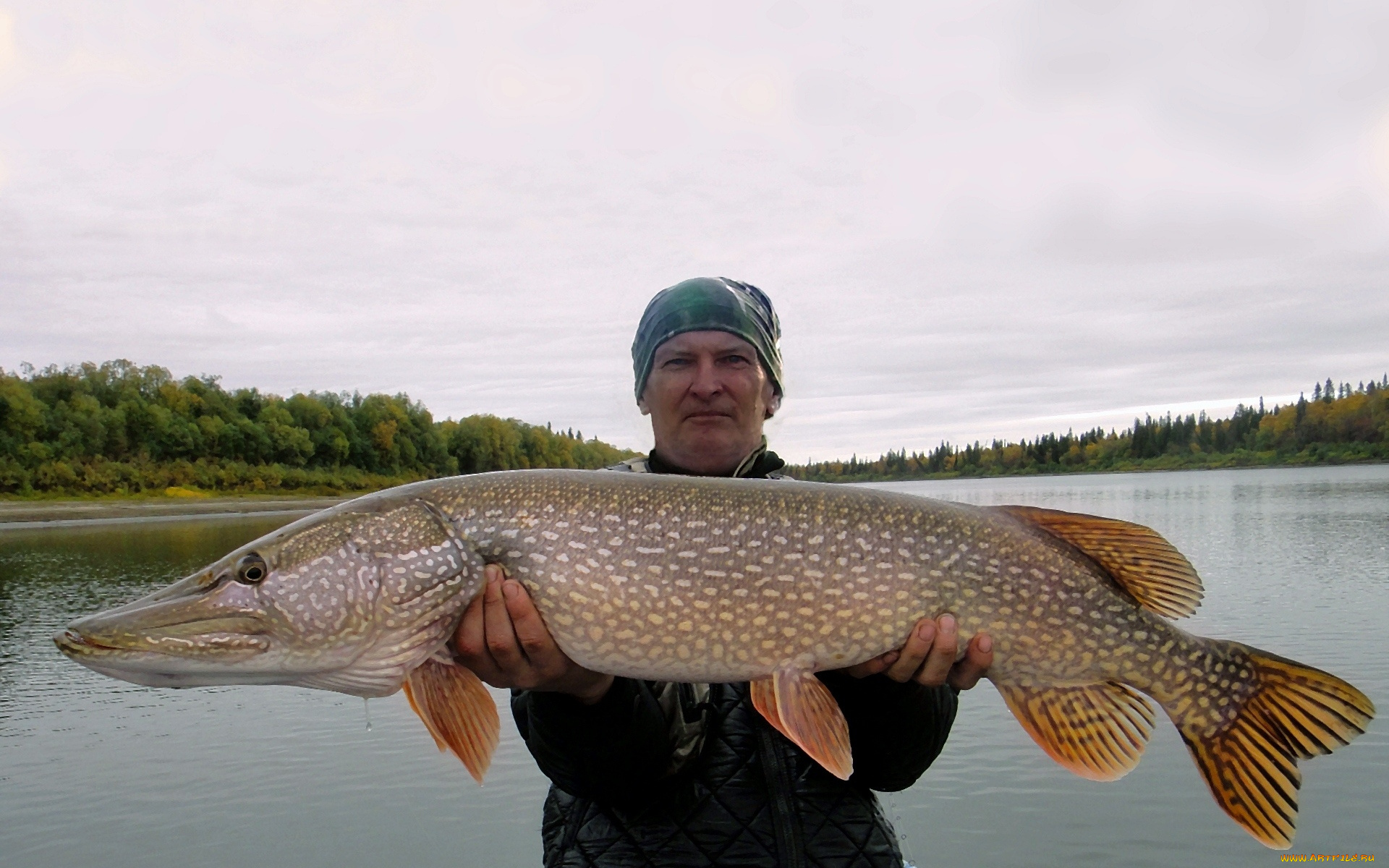 разное, рыбалка, , рыбаки, , улов, , снасти, улов, спорт