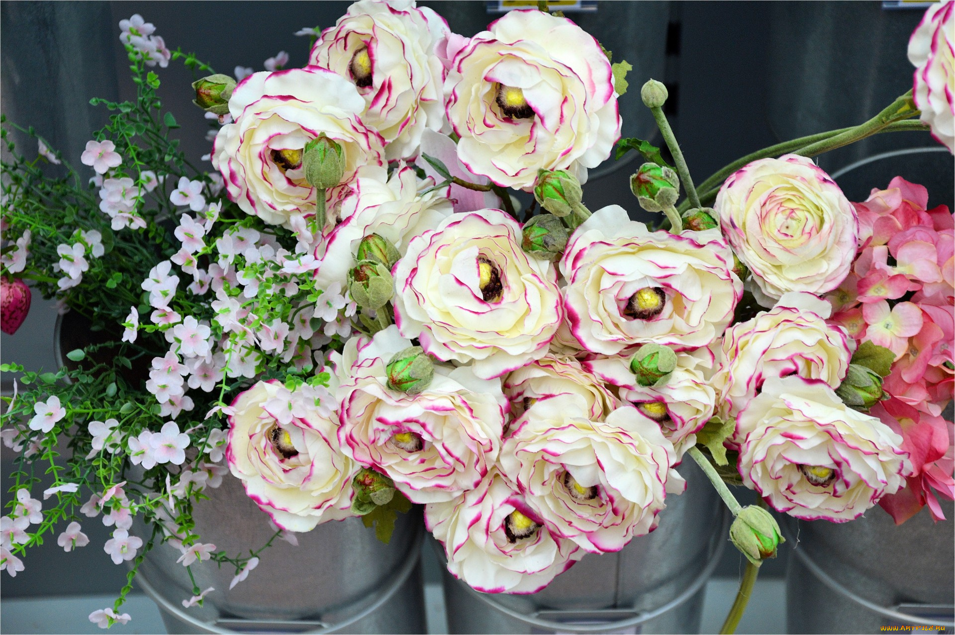 цветы, разные, вместе, ранункулюс