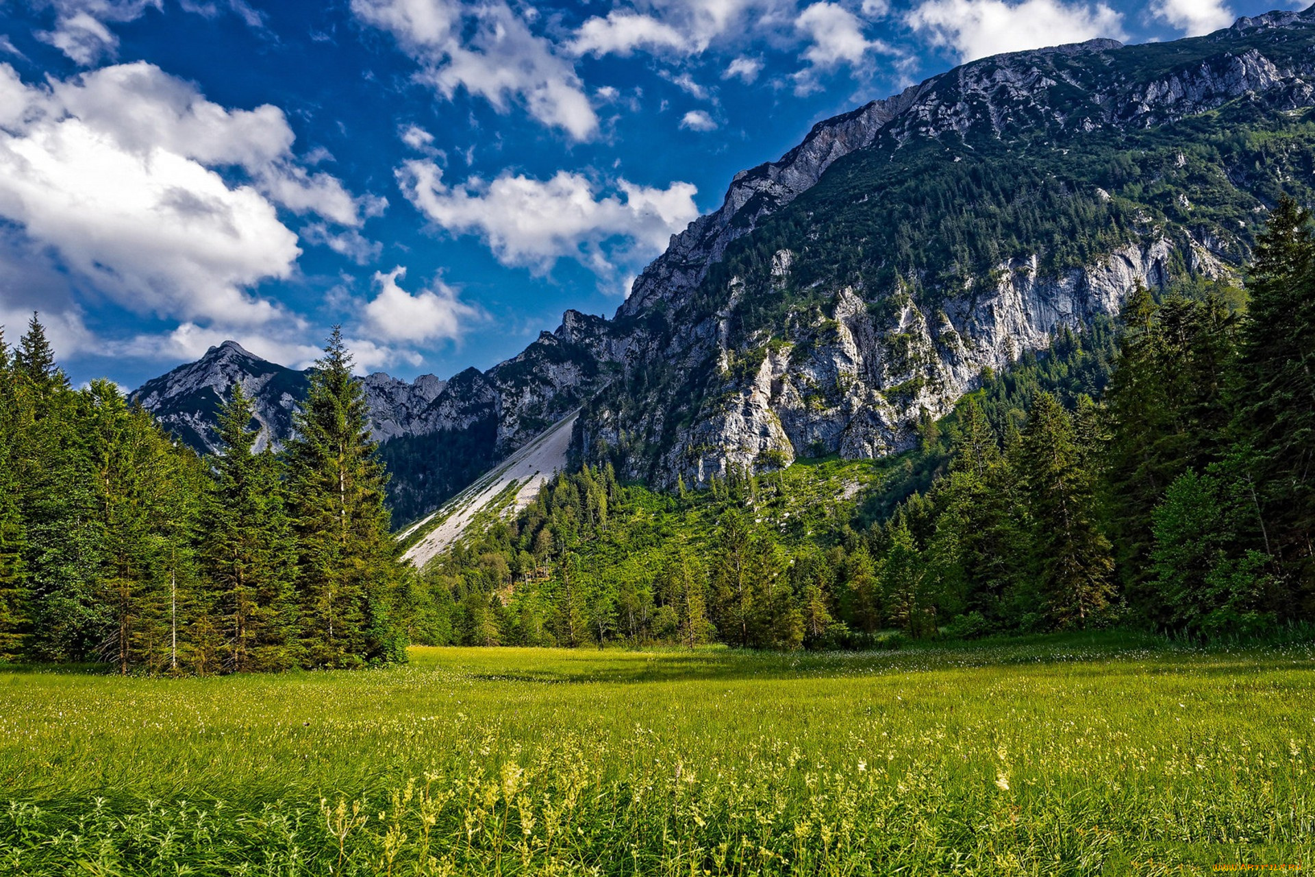 природа, горы, простор