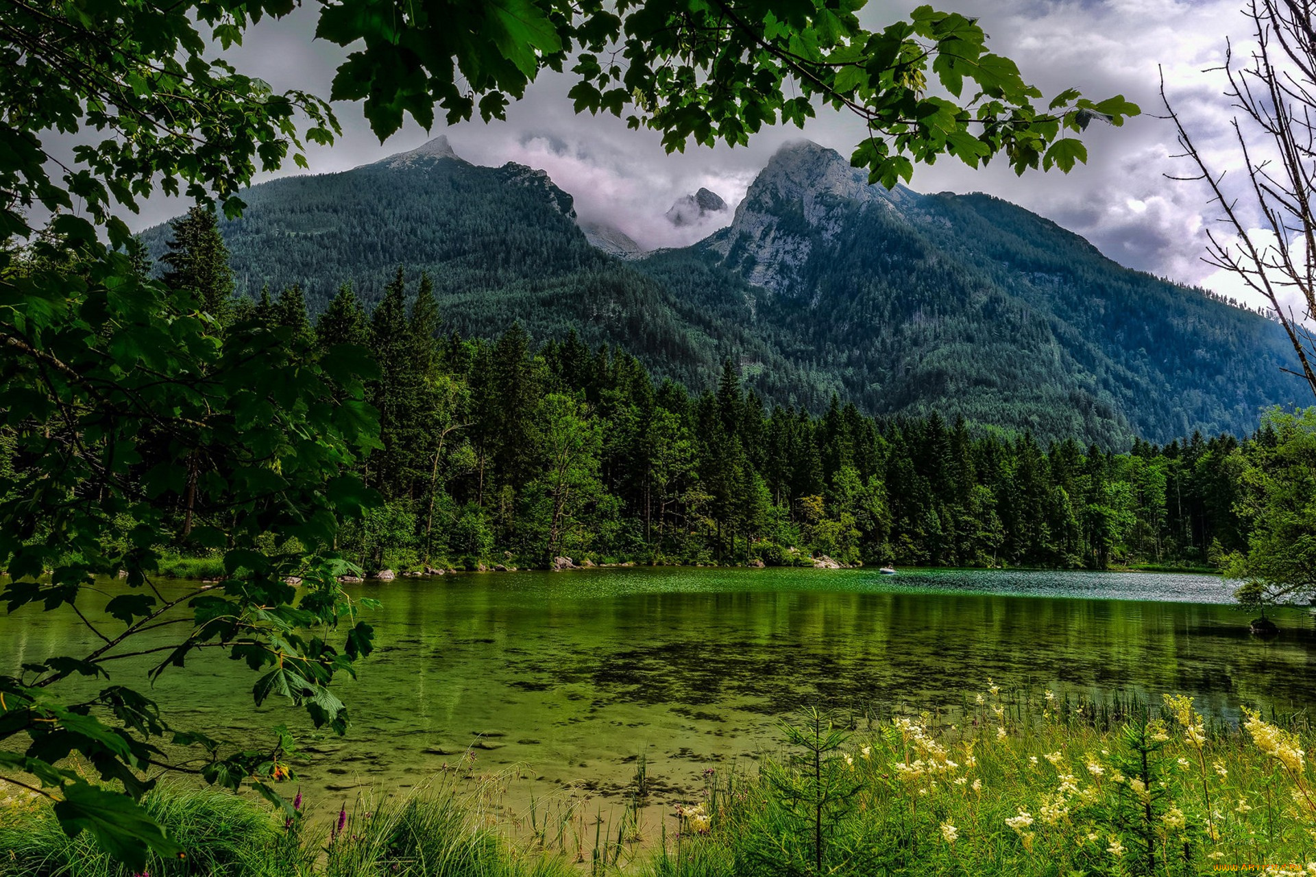 природа, реки, озера, простор