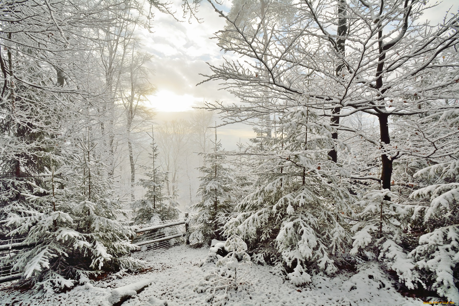 природа, зима, простор