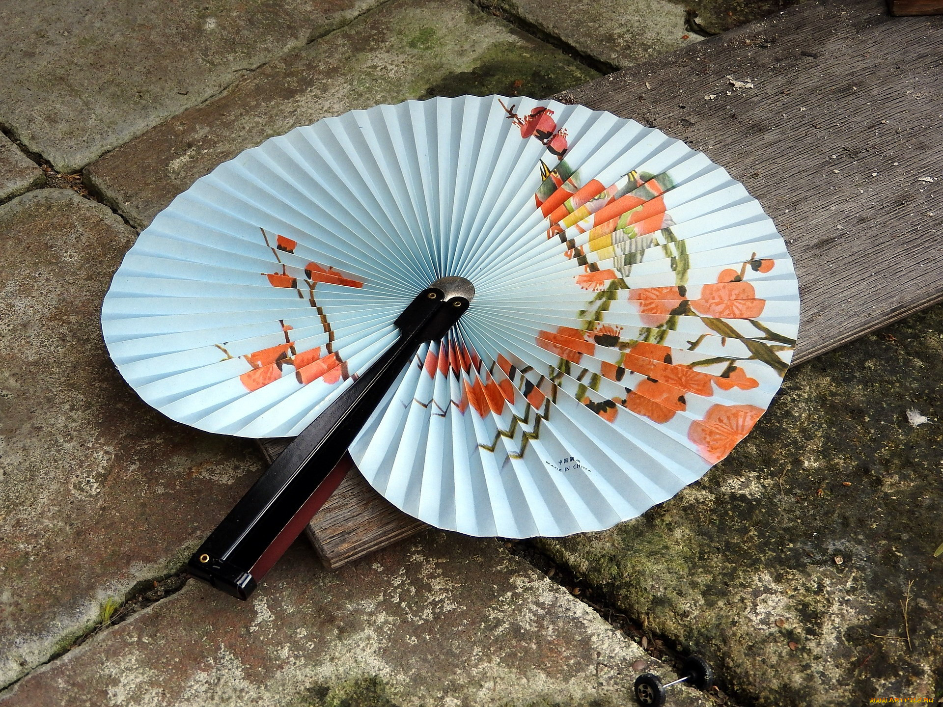 разное, украшения, , аксессуары, , веера, веер