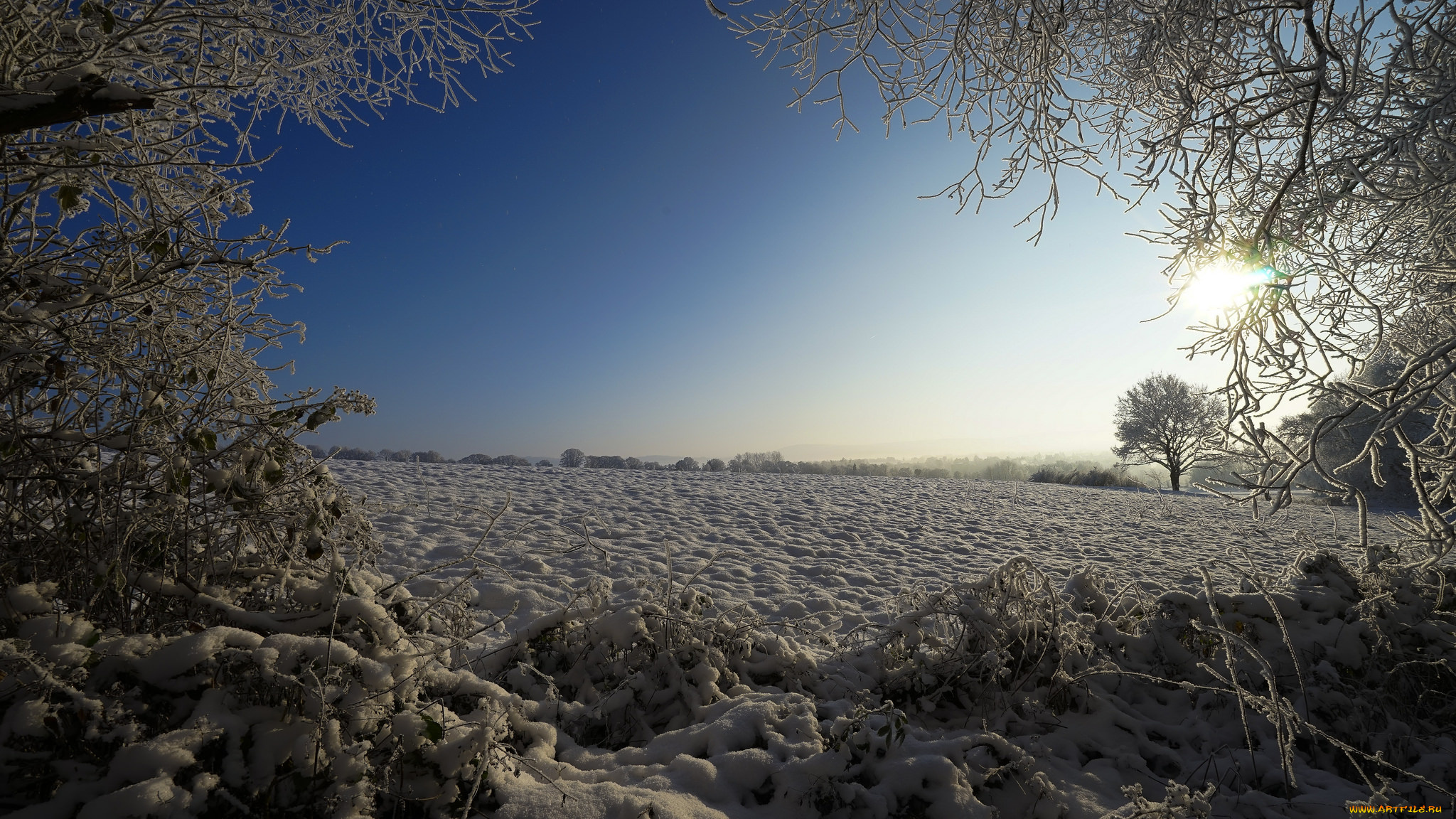 природа, пейзажи, простор