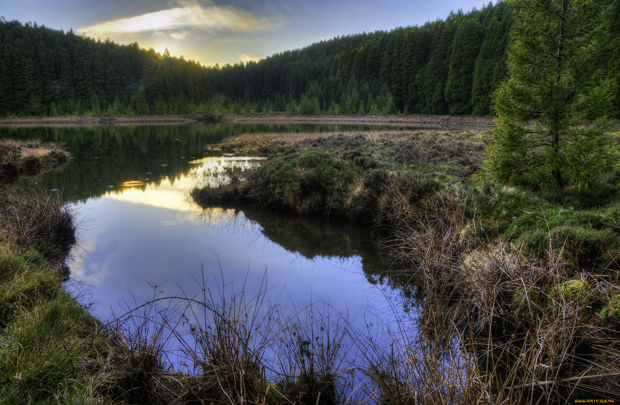 природа, реки, озера, простор