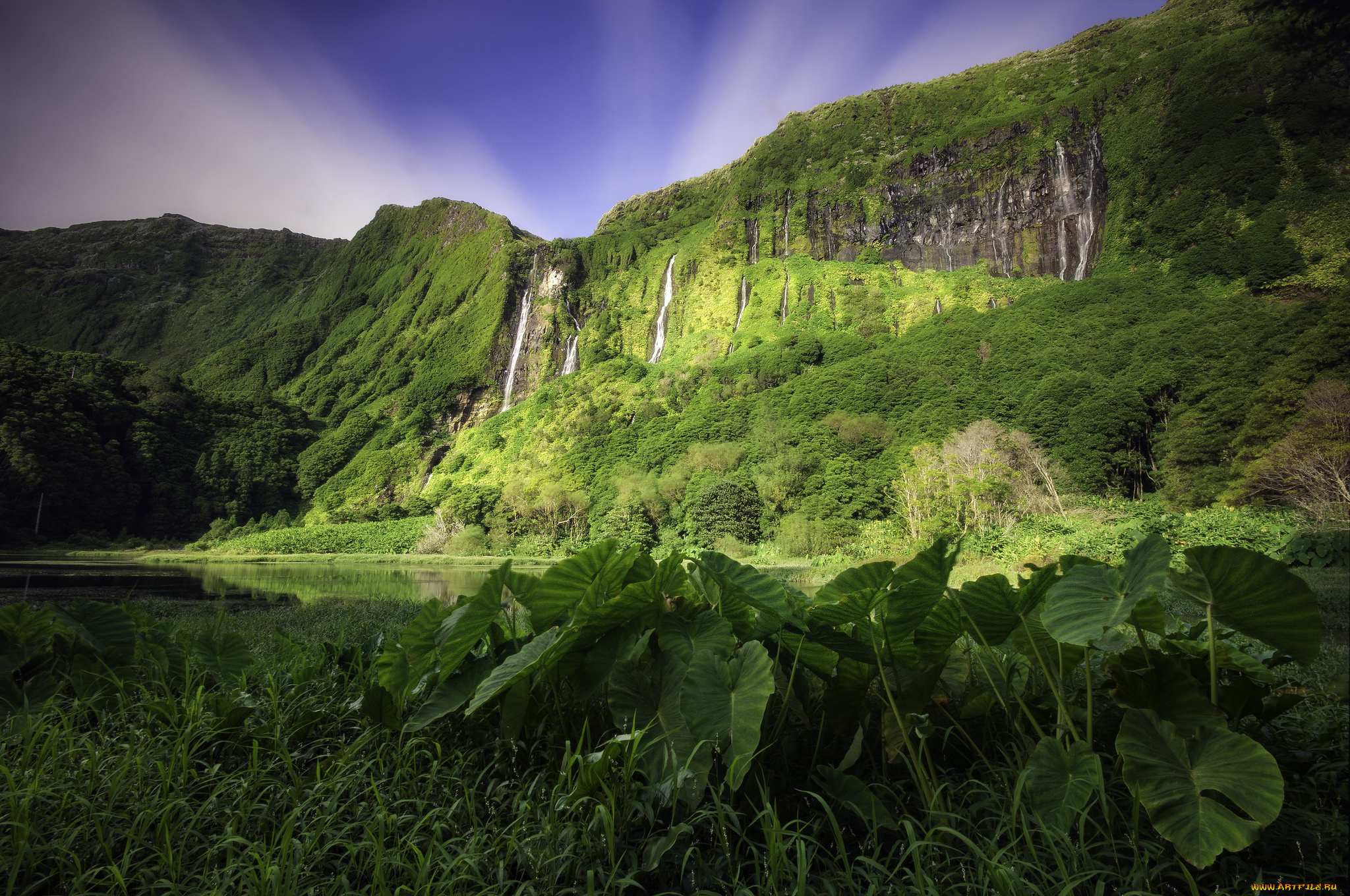 природа, пейзажи, простор