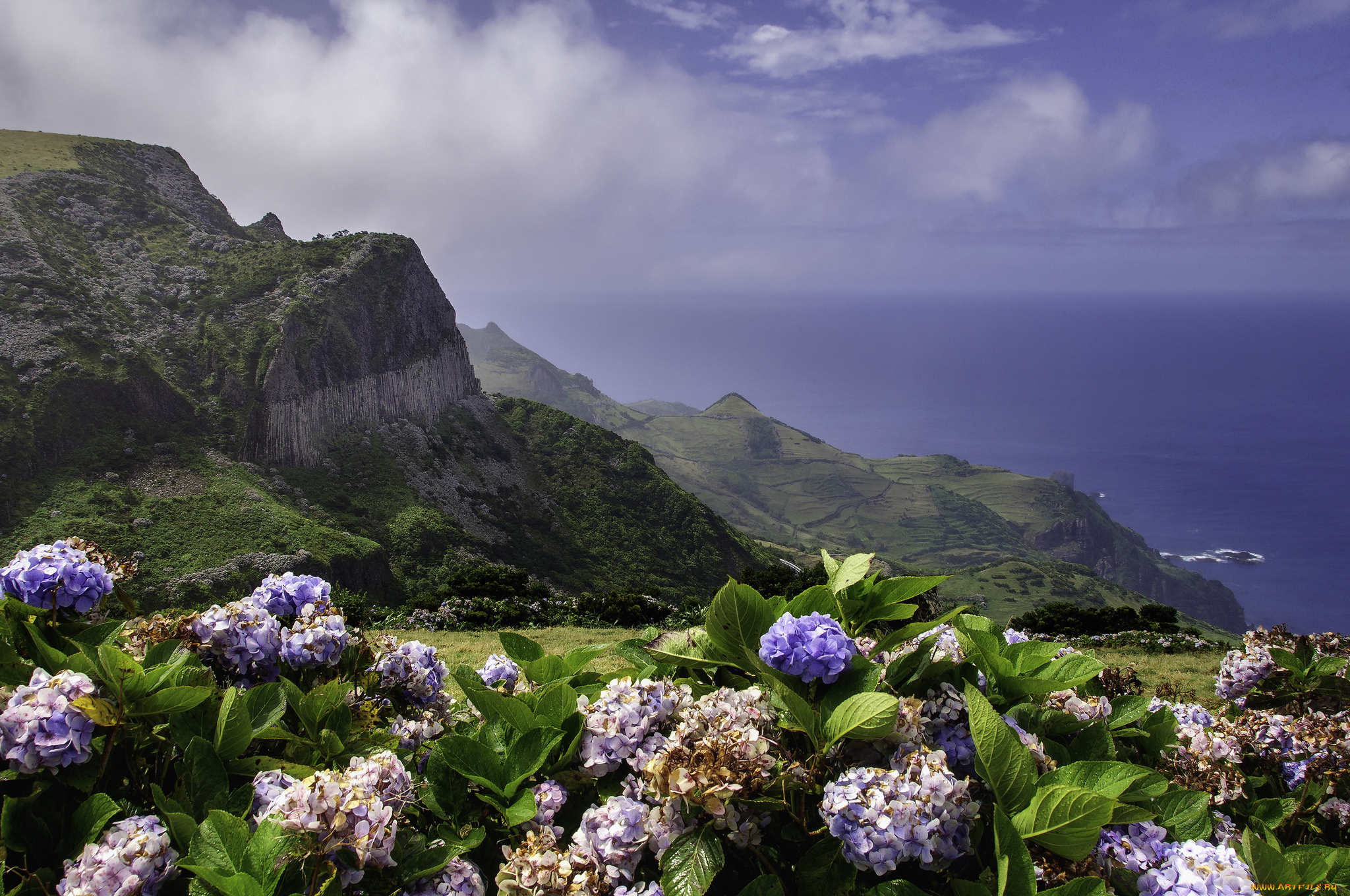 природа, побережье, простор