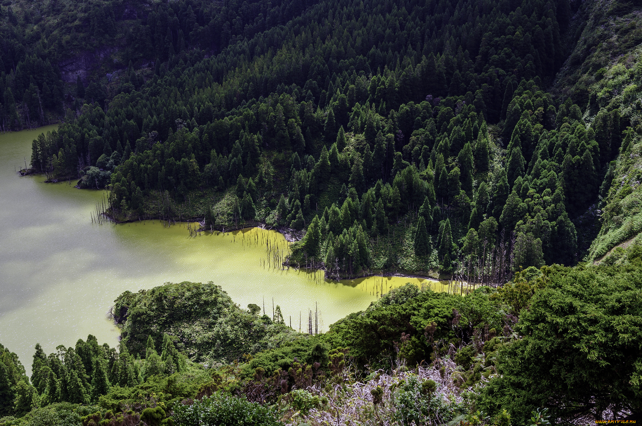 природа, побережье, простор