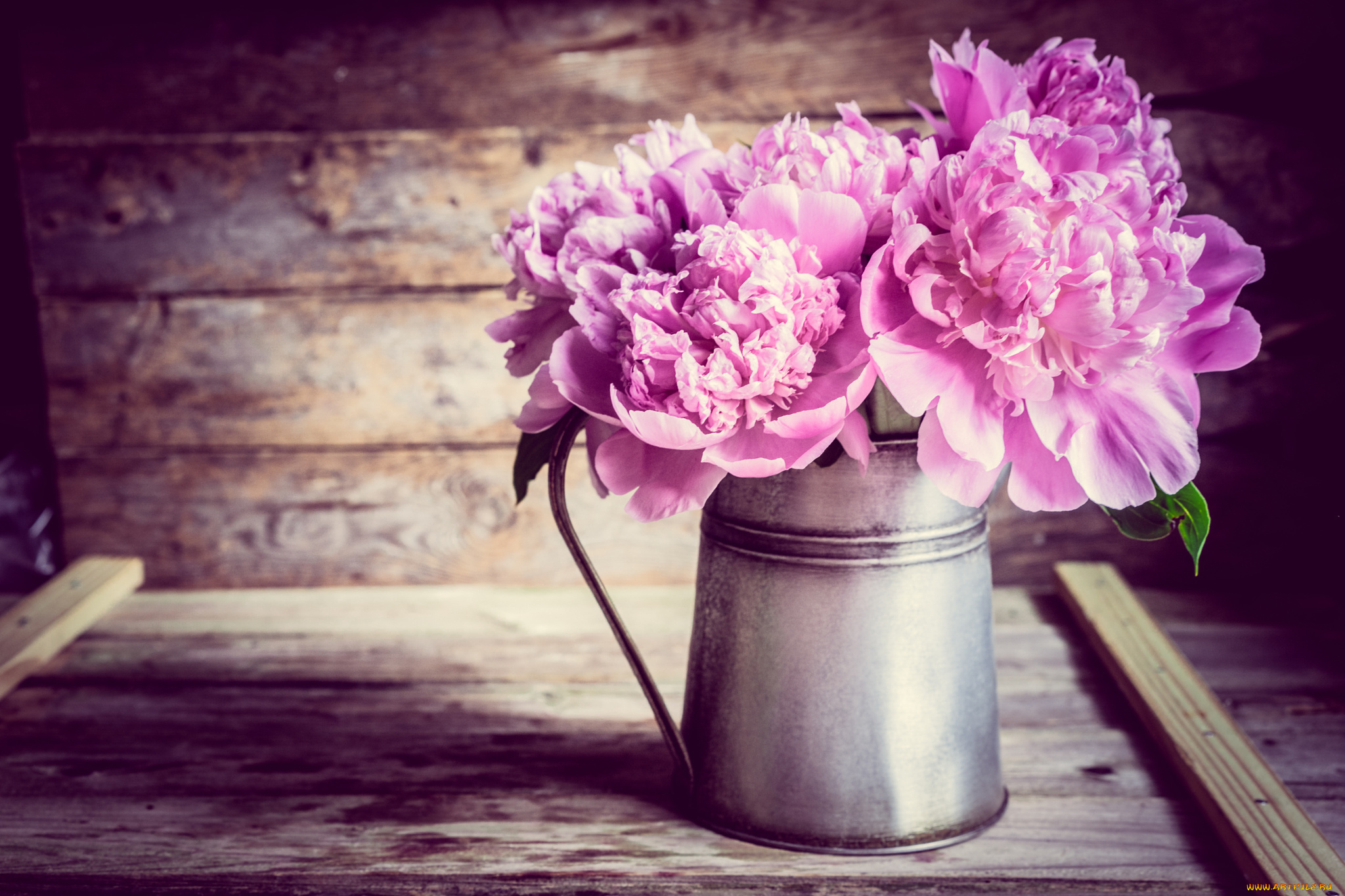 цветы, пионы, доски, кувшин, букет