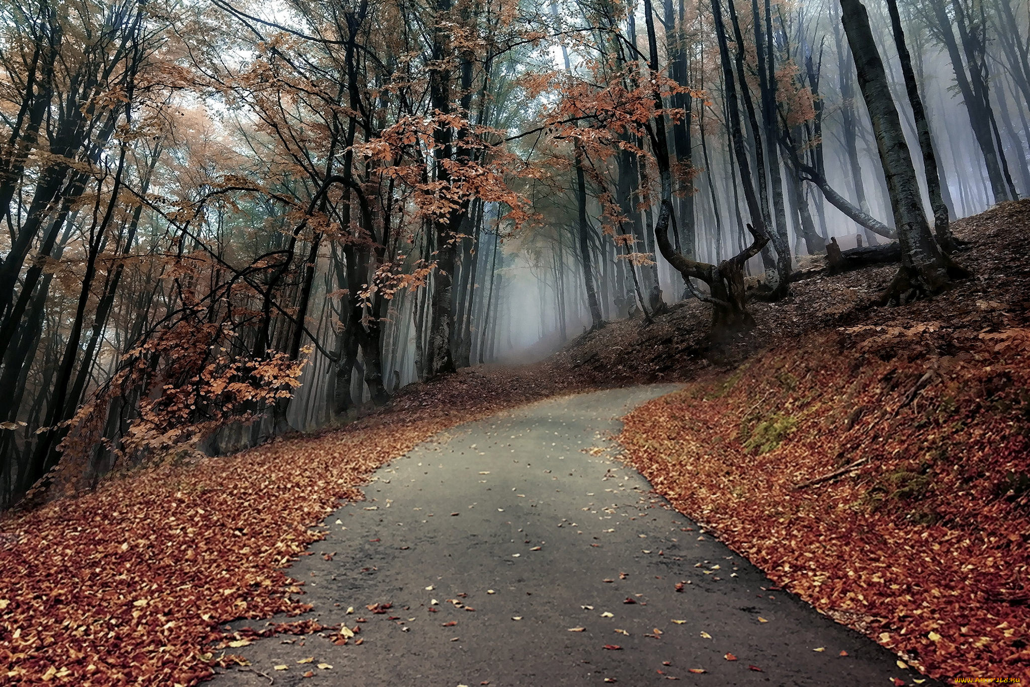 природа, дороги, простор