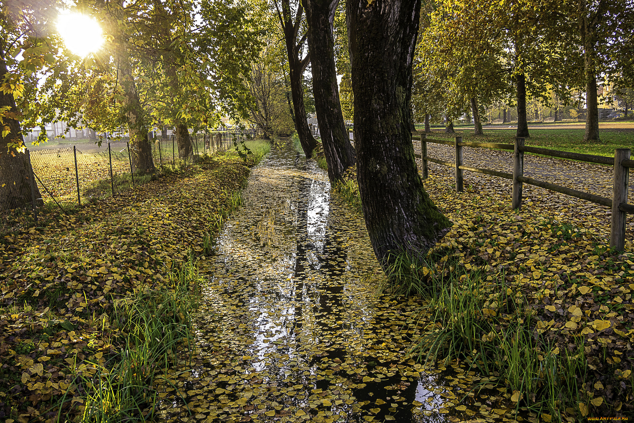 природа, пейзажи, простор