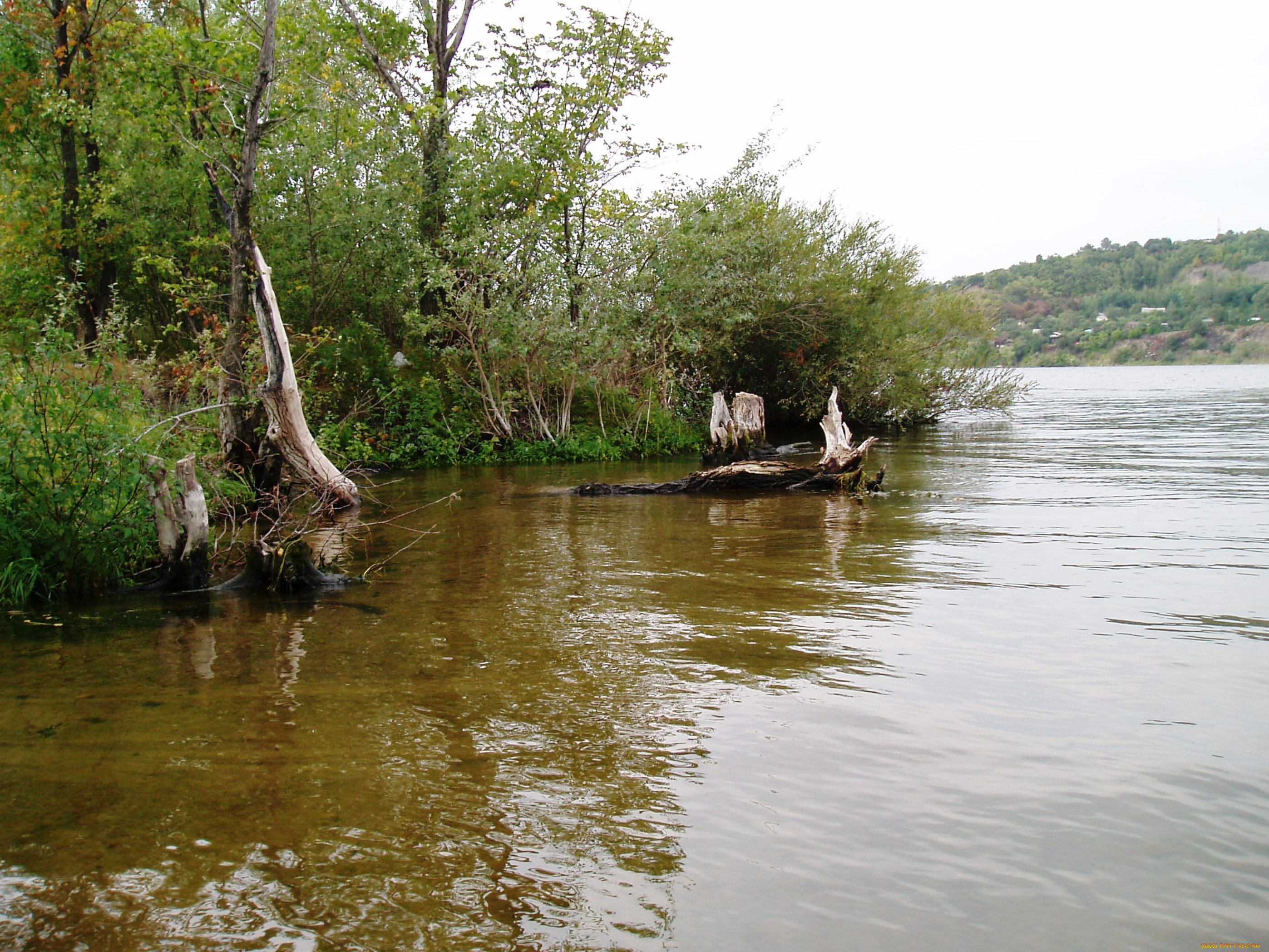 красивый, уголок, природа, реки, озера, водоем, летом