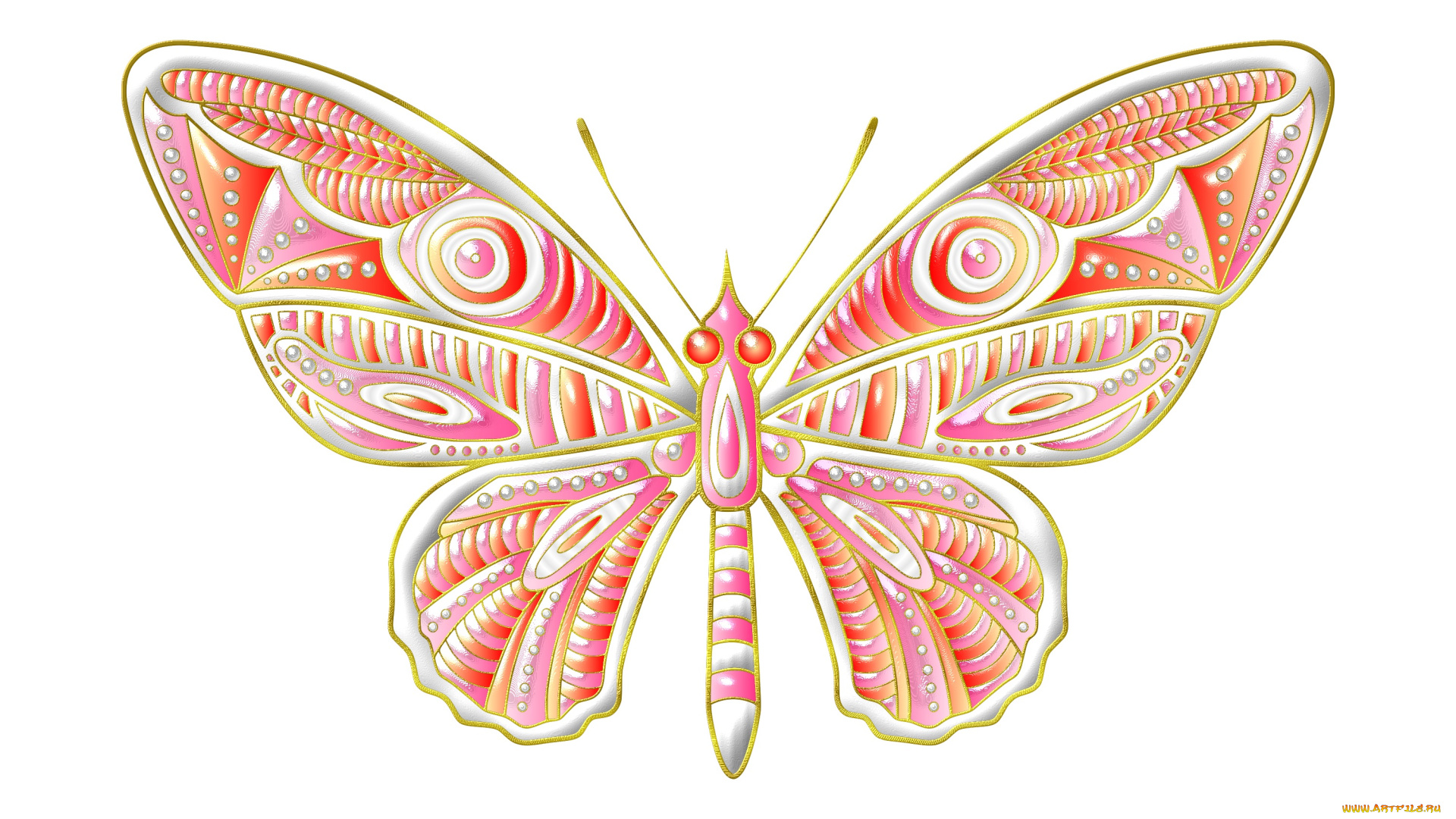 векторная, графика, животные, , animals, бабочка, фон