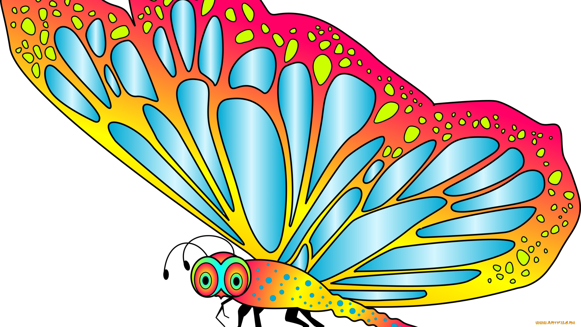 векторная, графика, животные, , animals, фон, бабочка