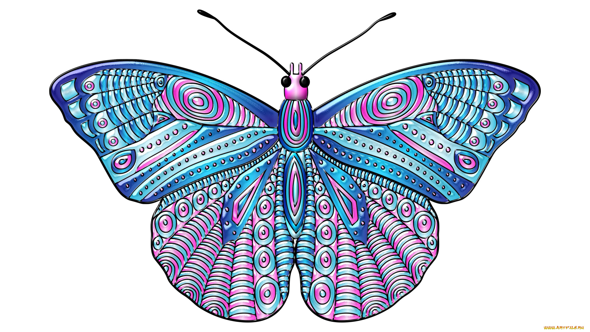 векторная, графика, животные, , animals, фон, бабочка