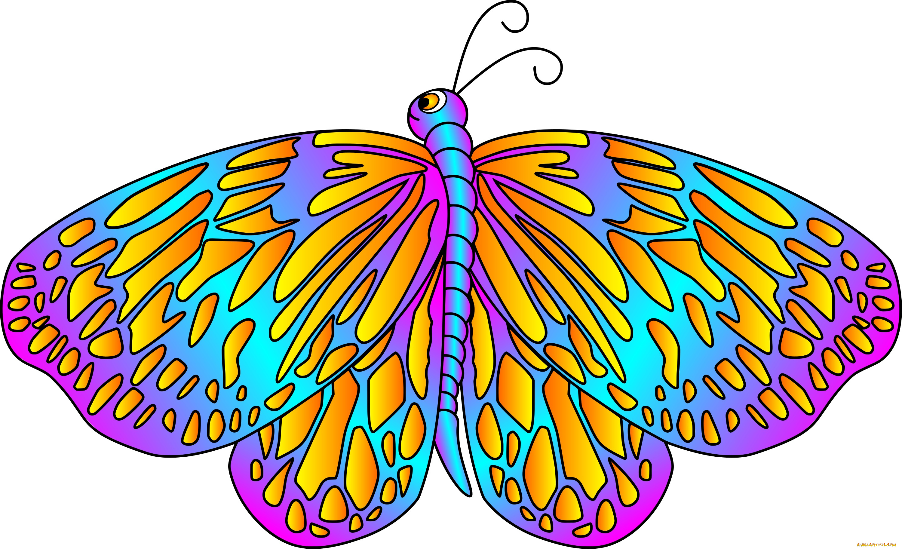 векторная, графика, животные, , animals, бабочка, фон