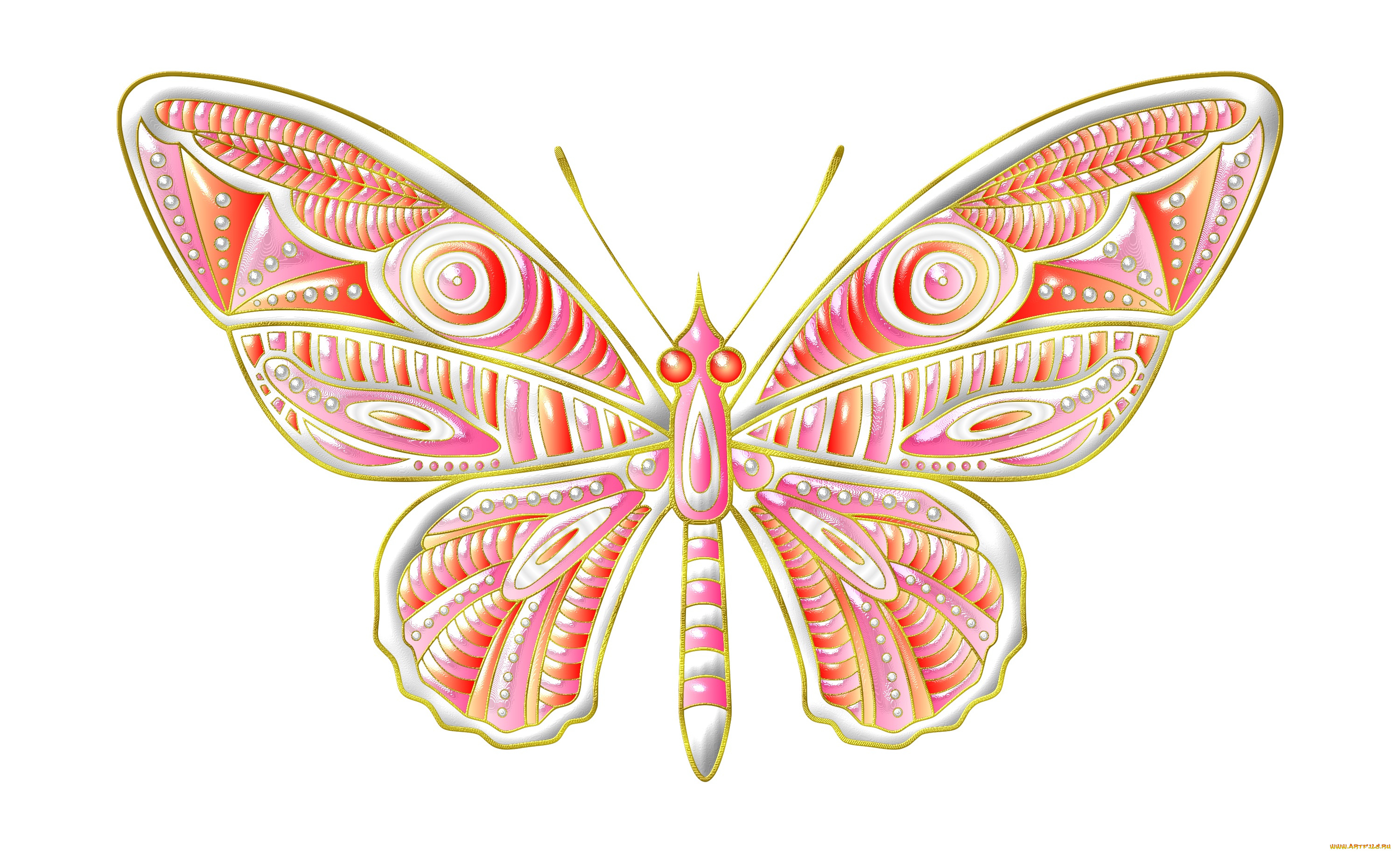 векторная, графика, животные, , animals, бабочка, фон