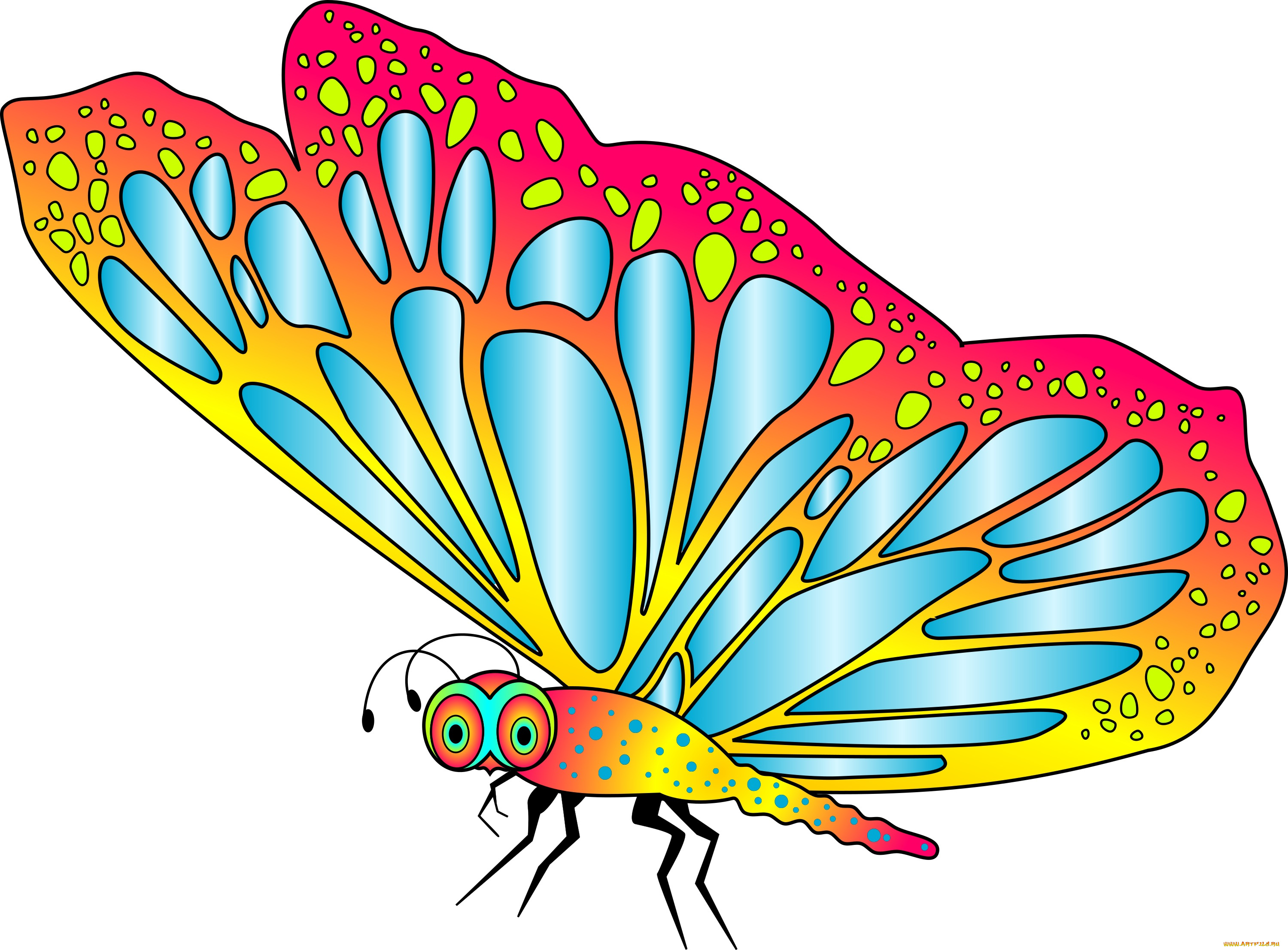 векторная, графика, животные, , animals, фон, бабочка