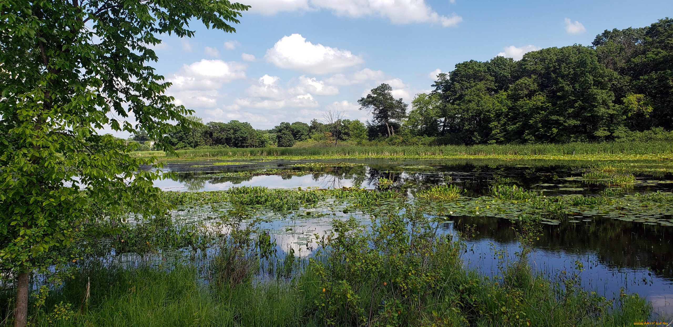 minnesota, usa, природа, реки, озера