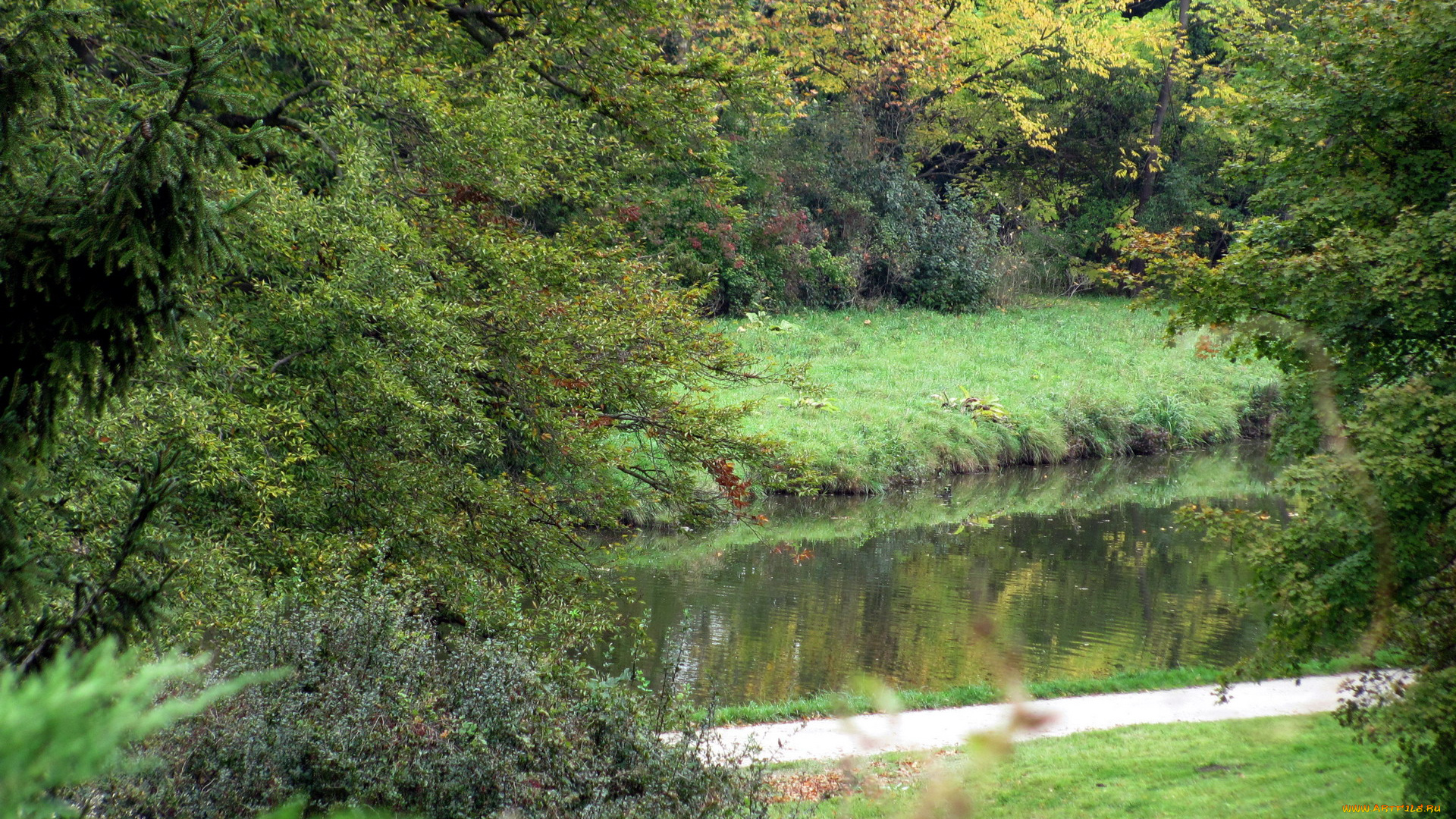 природа, реки, озера, река