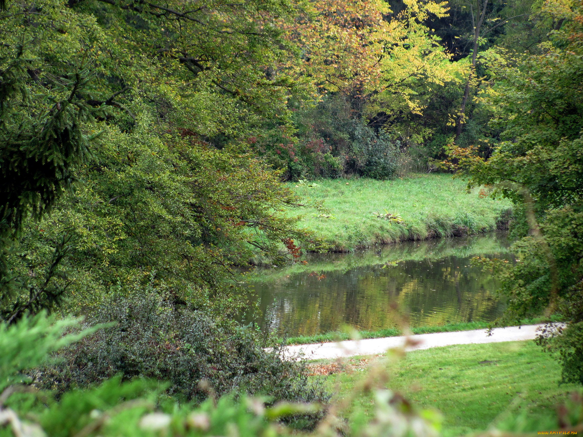 природа, реки, озера, река