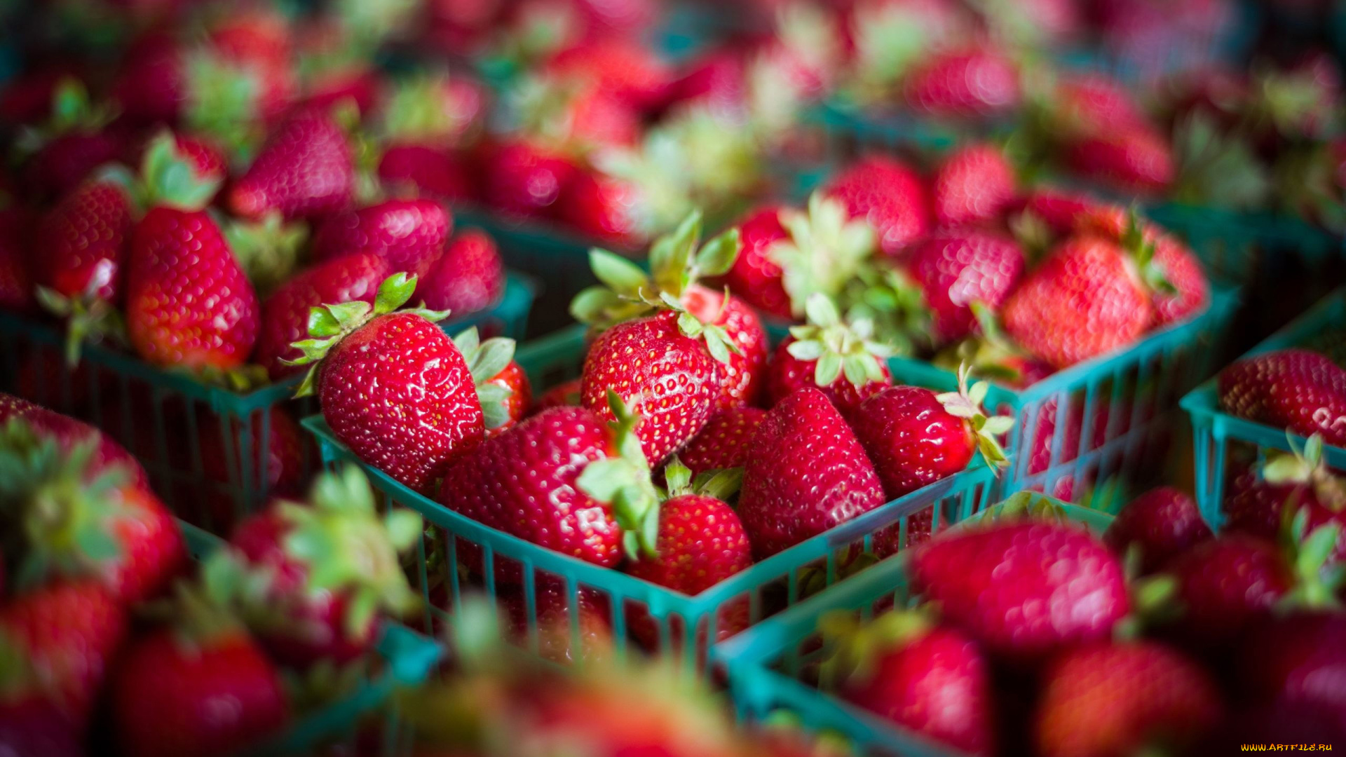 еда, клубника, , земляника, крупная, спелая