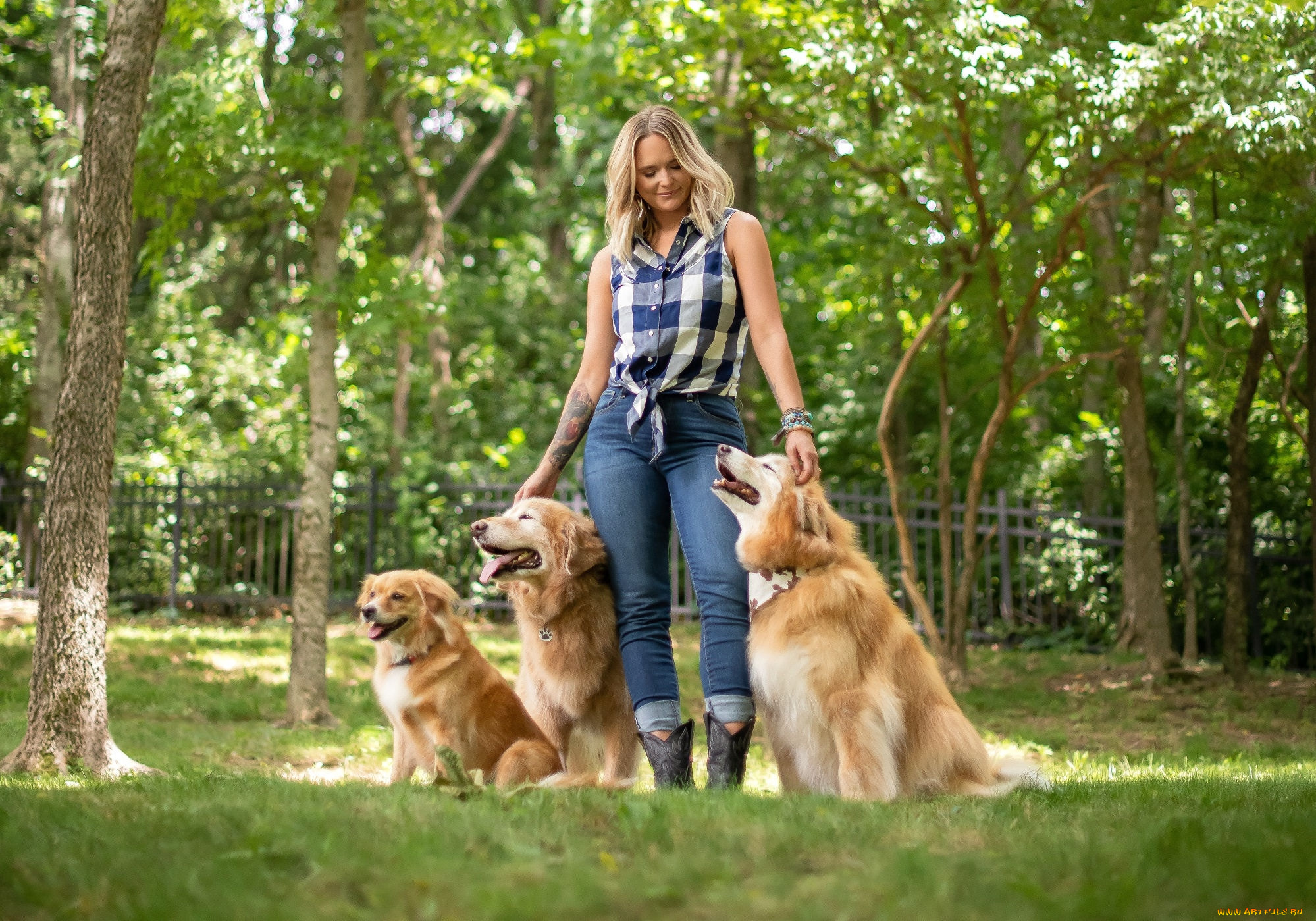 музыка, miranda, lambert, джинсы, рубашка, собаки