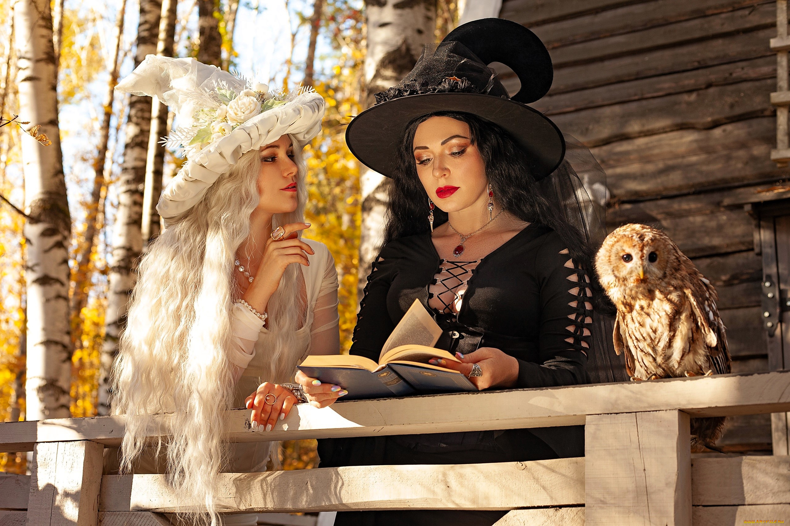 девушки, юлия, огородникова, образы, косплей, наряды, костюмы, подруги, ведьмы, шляпы, платья, дом, балкон, осень, сова, книга